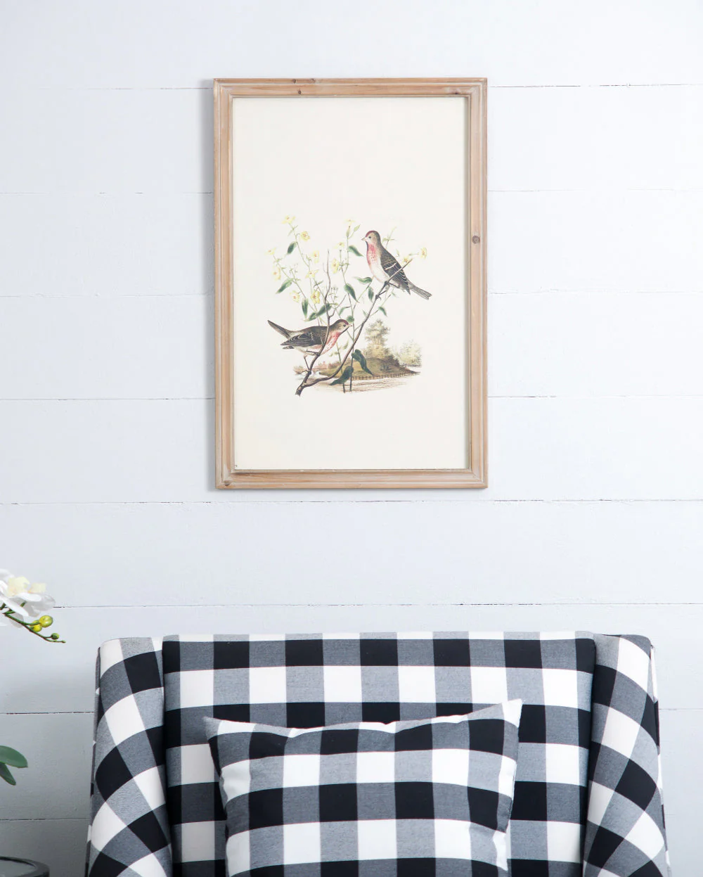 Set of 4 Bird Framed Prints - Image 9