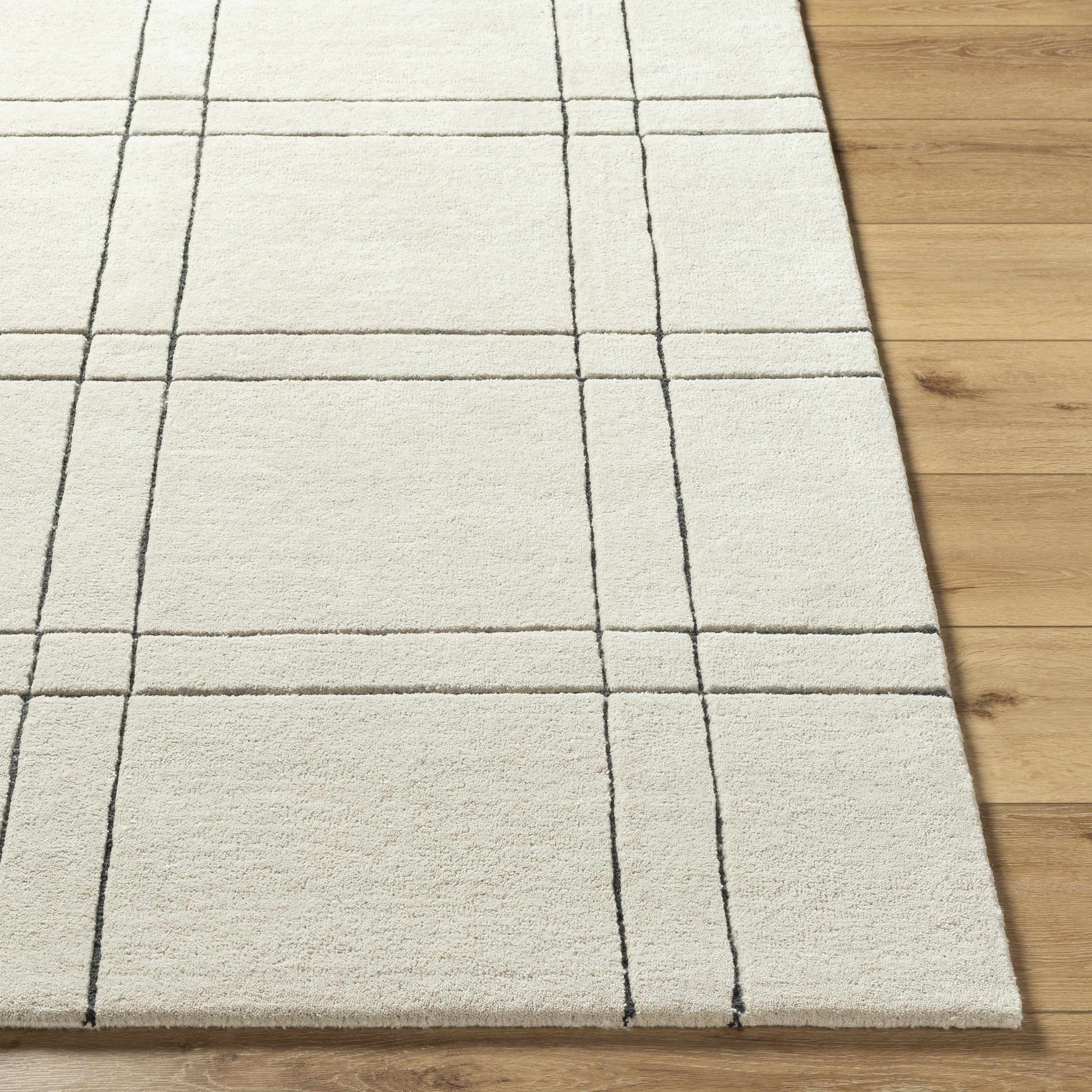 Sixto Beige Area Rug - Clearance - Image 3