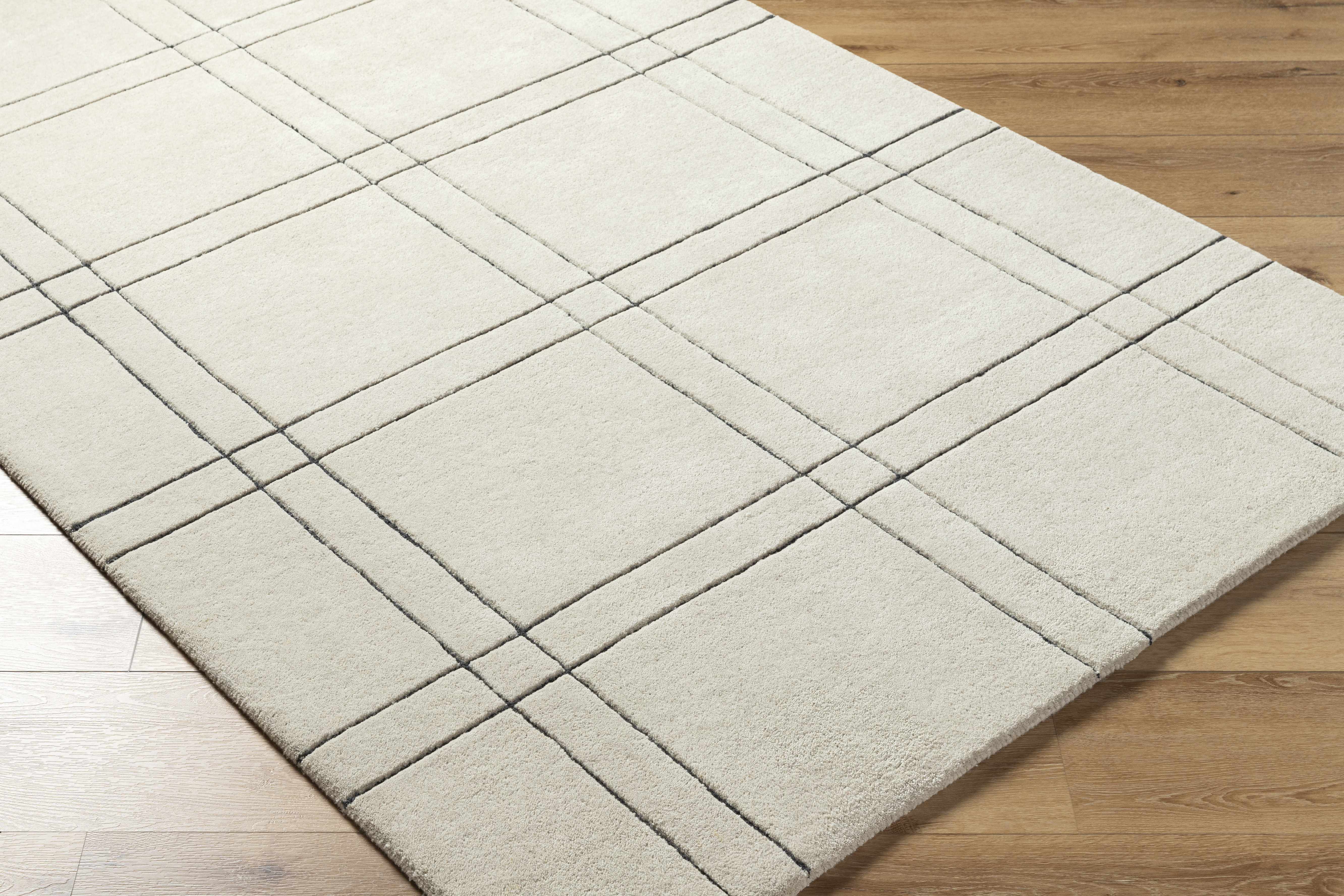 Sixto Beige Area Rug - Clearance - Image 4