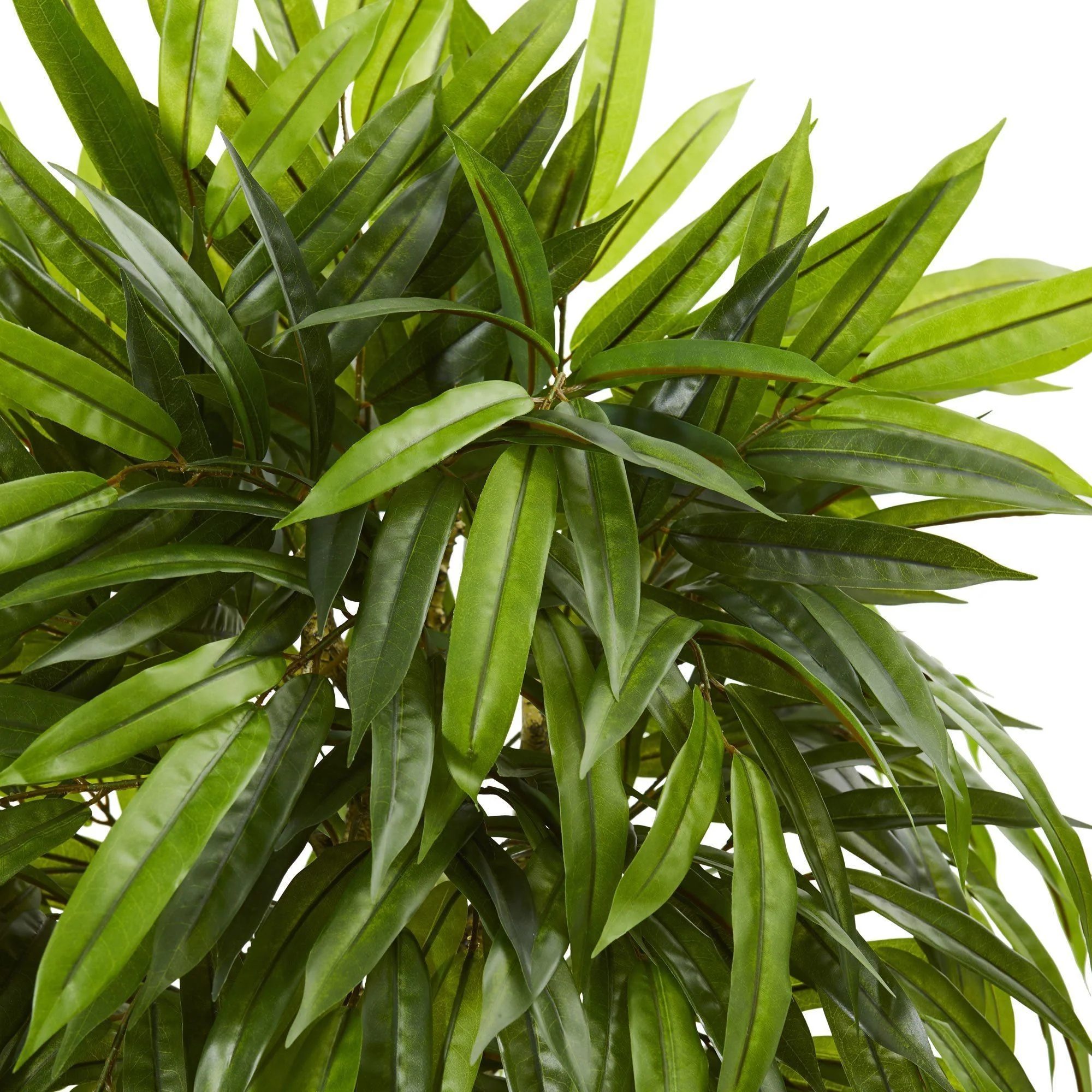 Slim Mango Artificial Tree UV Resistant (Indoor/Outdoor) - Image 2