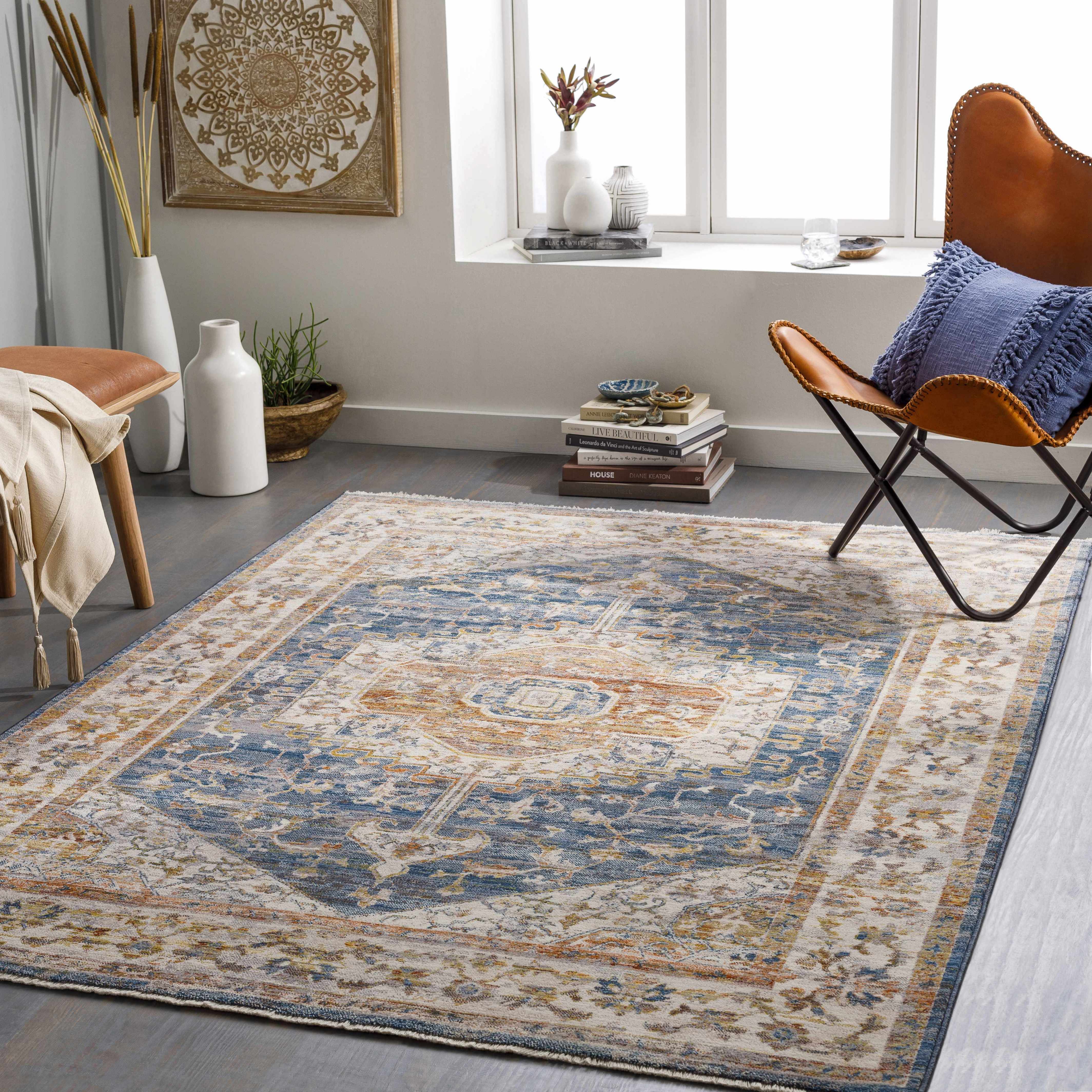 Solana Distressed Medallion Area Carpet - Clearance - Image 2