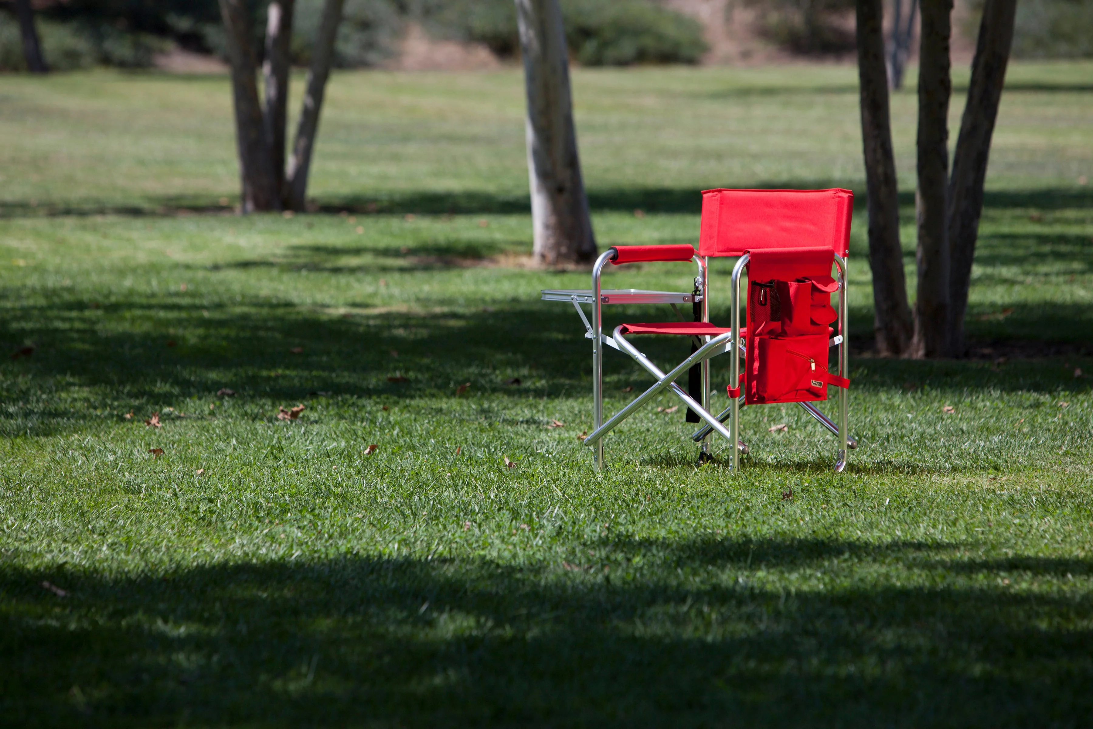 Sports Chair - Image 48