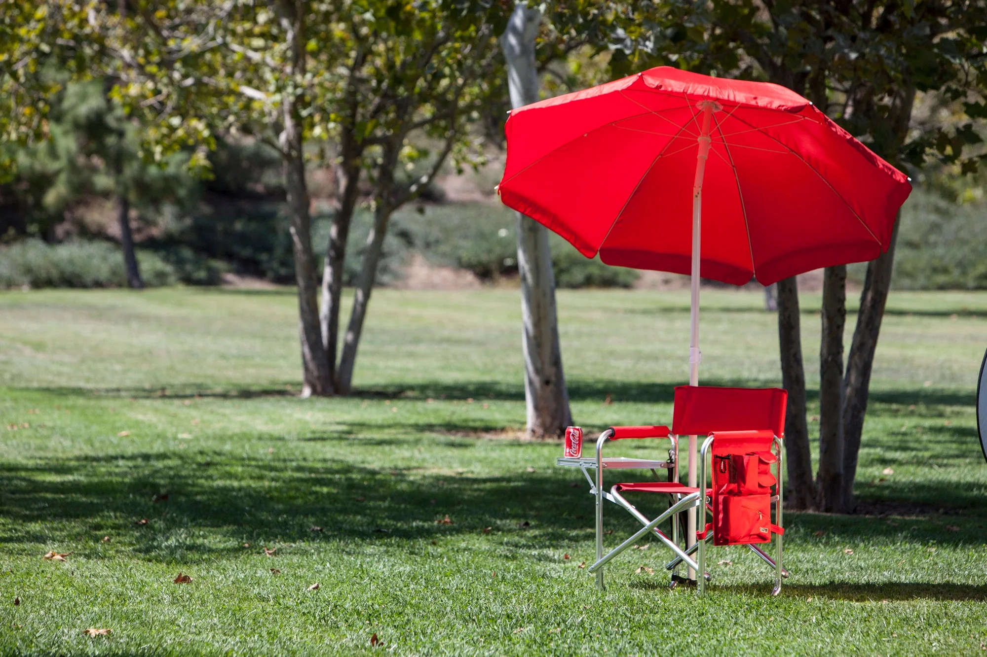 Sports Chair - Image 61