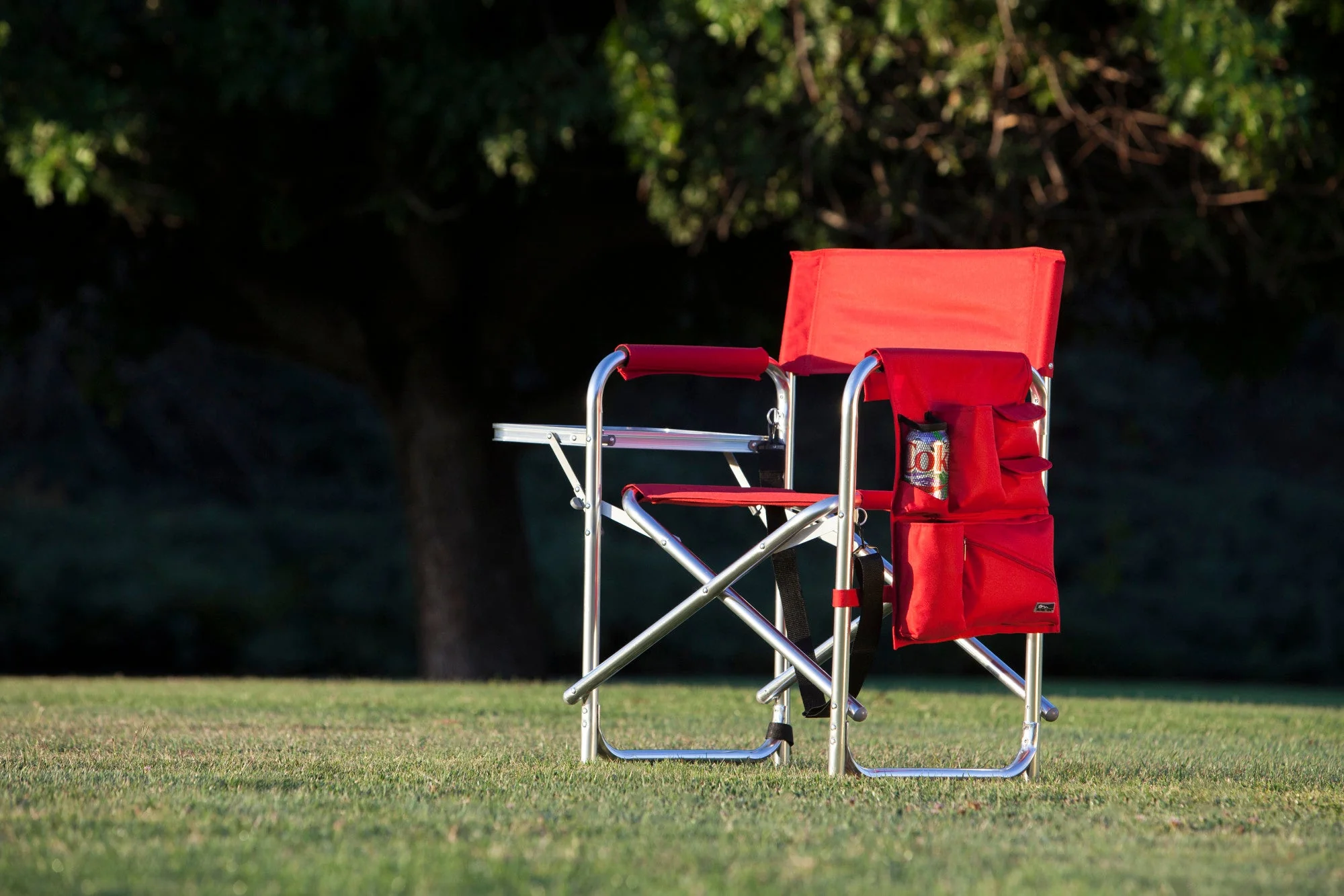 Sports Chair - Image 66