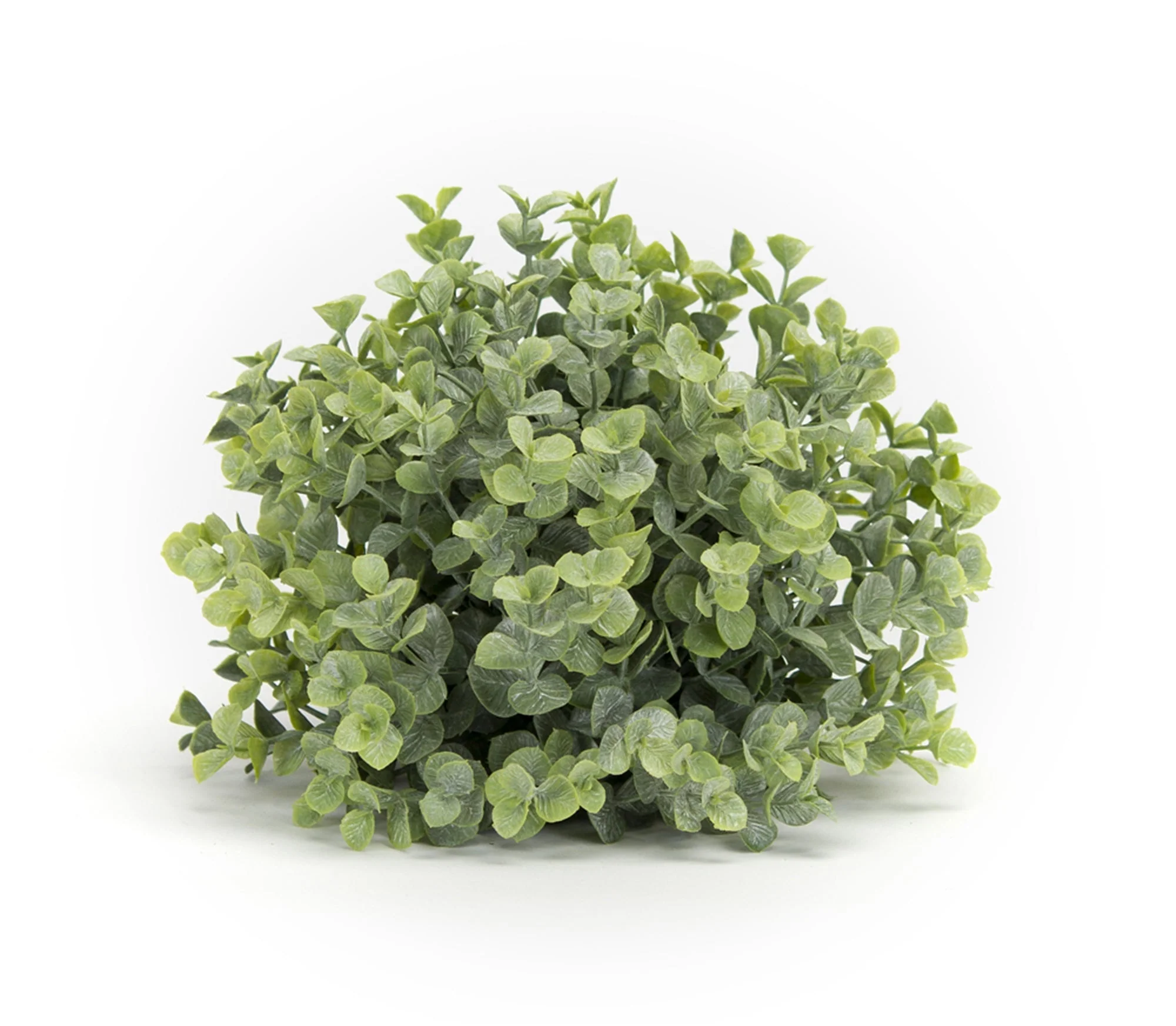 Spring Boxwood Foliage Half Orb (Set of 6) - Image 2