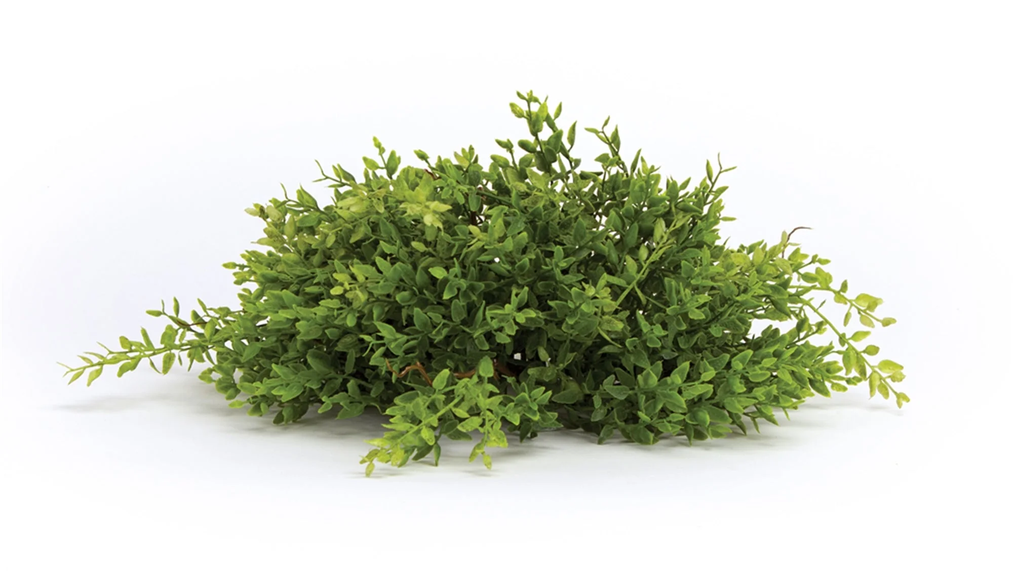 Spring Mini Leaf Foliage Half Orb (Set of 6) - Image 2