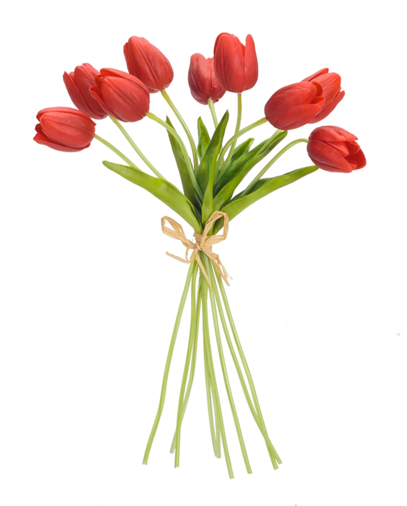 Spring Red Tulip Bundle (Set of 6) - Image 2