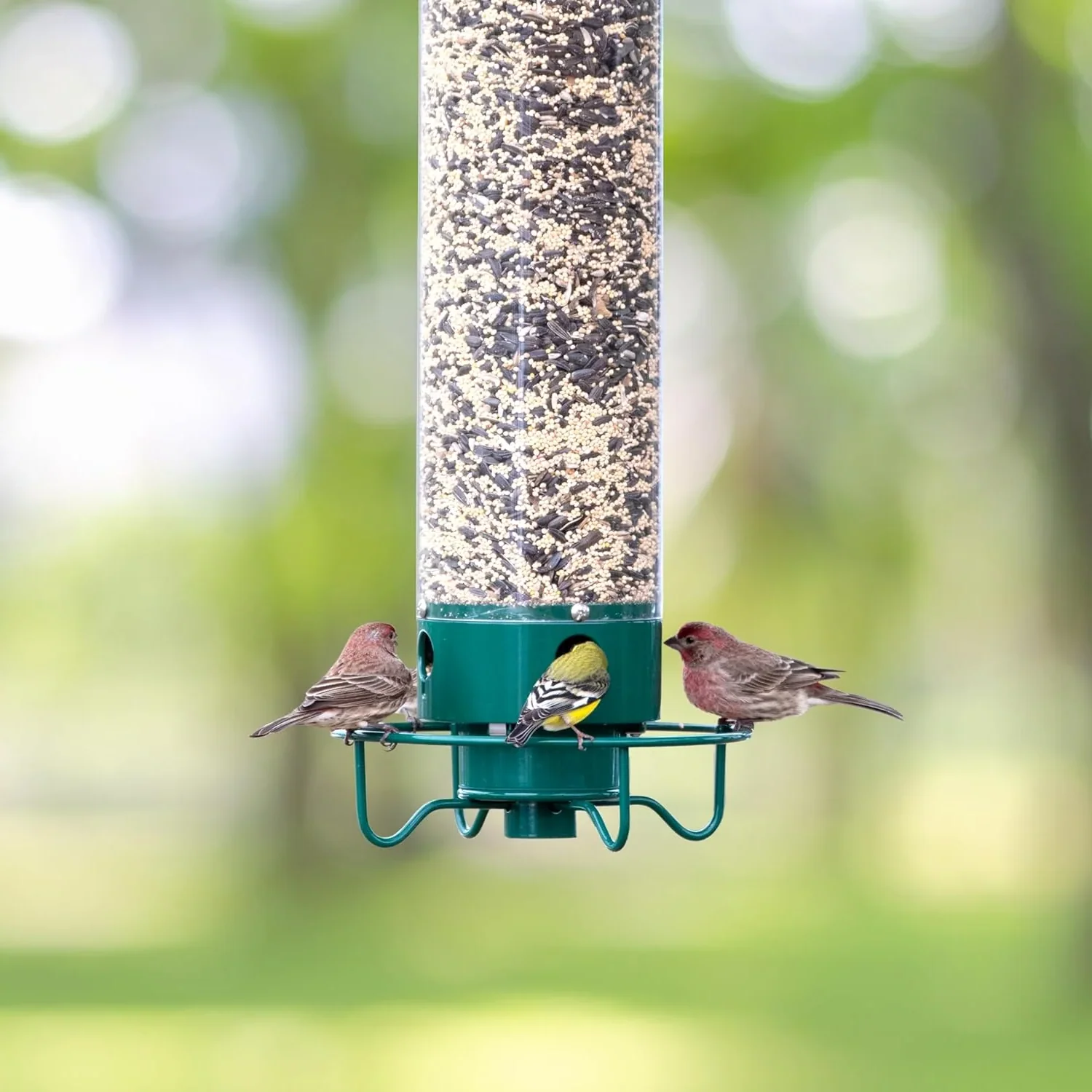 Squirrel Proof Bird Feeder Hanging Metal Wild Bird Seed Feeder 35cm - Image 6