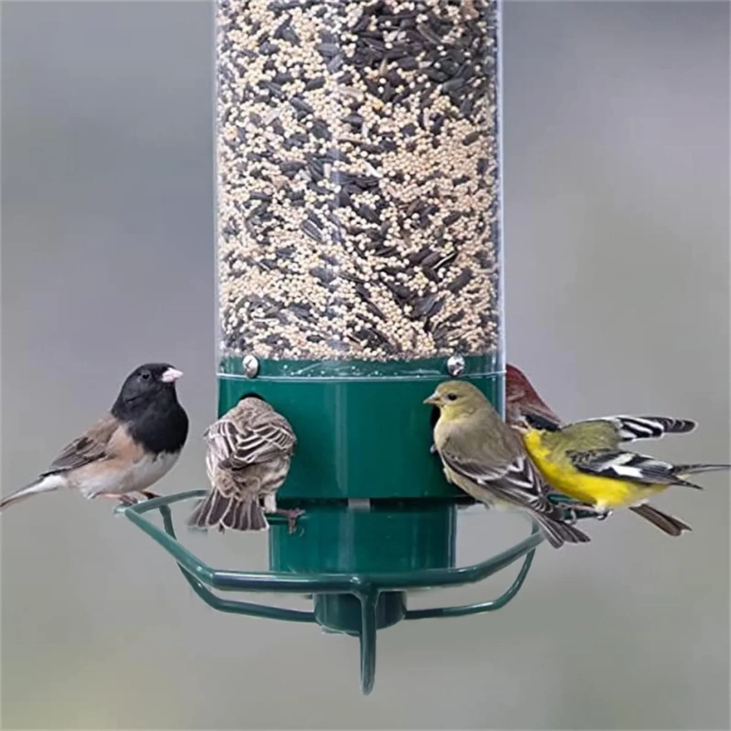 Squirrel Proof Bird Feeder Hanging Metal Wild Bird Seed Feeder 35cm - Image 7