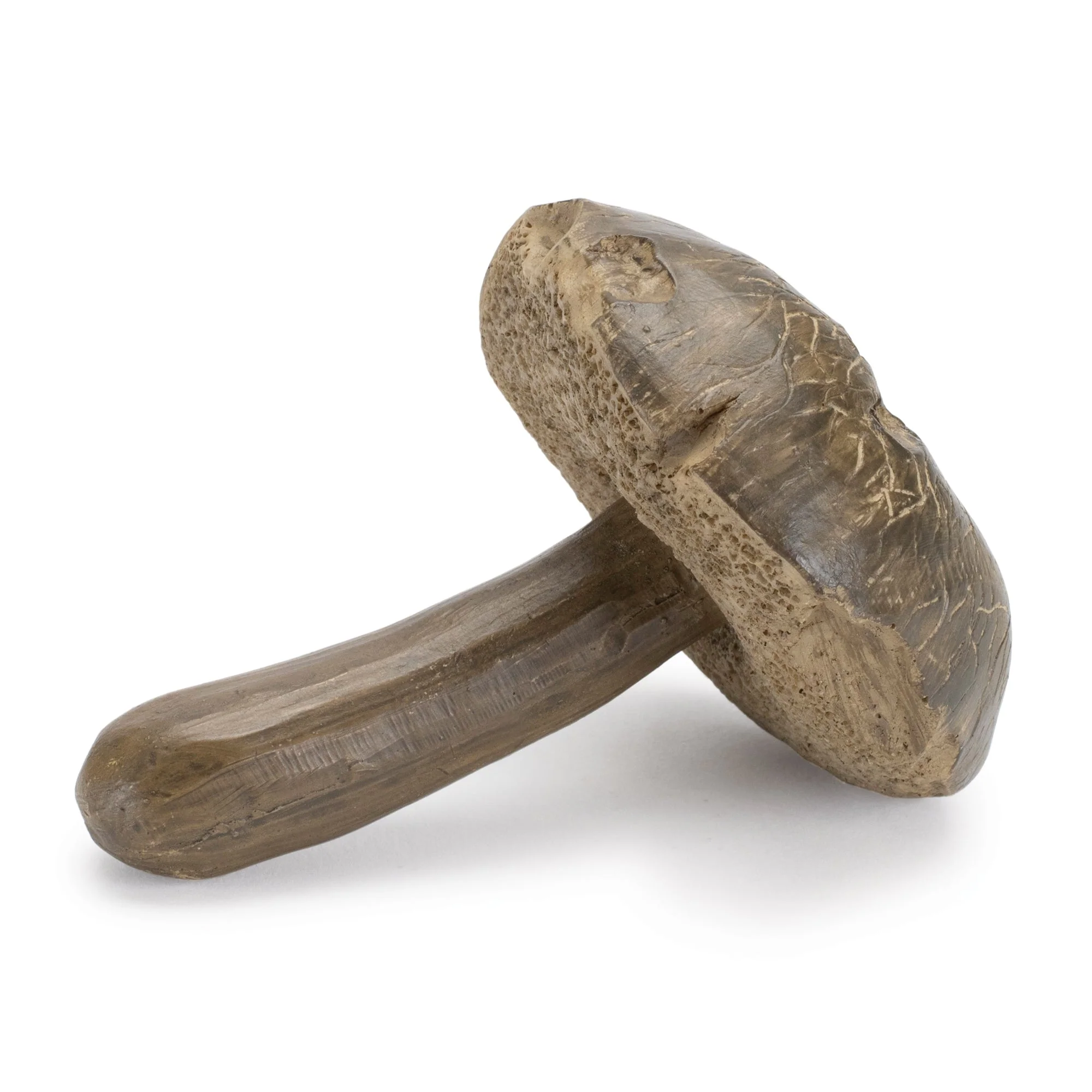 Stone Mushroom Shelf Sitter (Set of 12) - Image 4