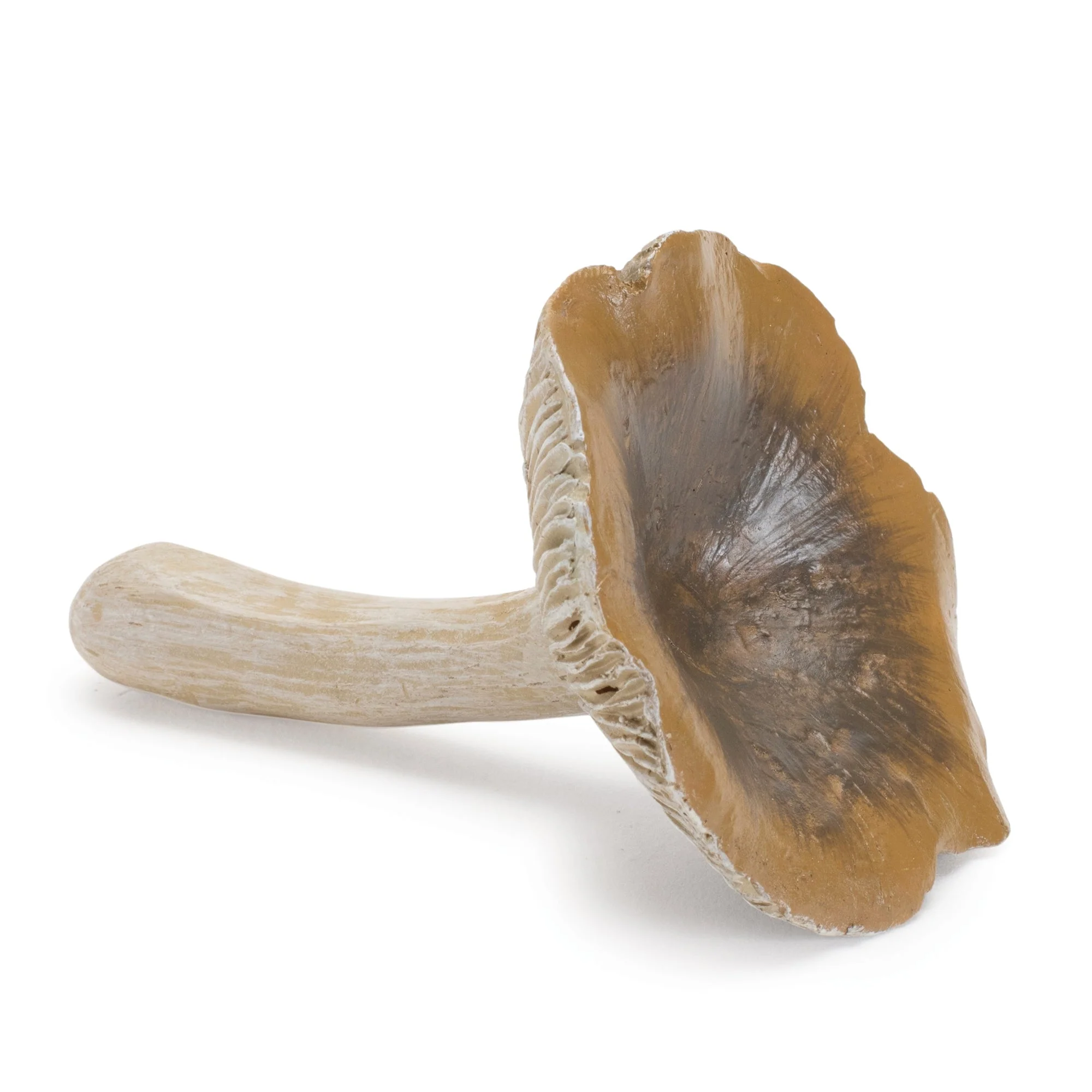 Stone Mushroom Shelf Sitter (Set of 12) - Image 5