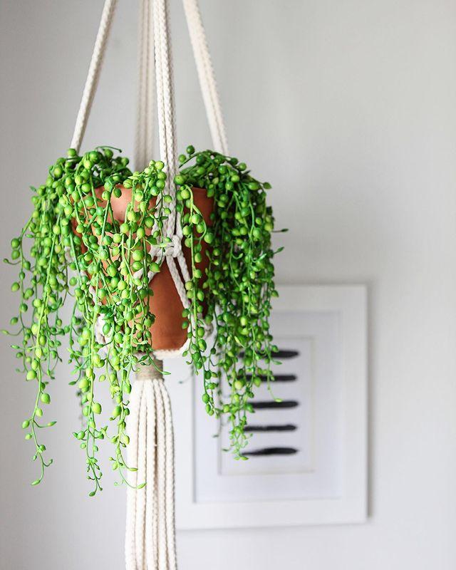 String of Pearl Artificial Plant Hanging Basket - Image 2
