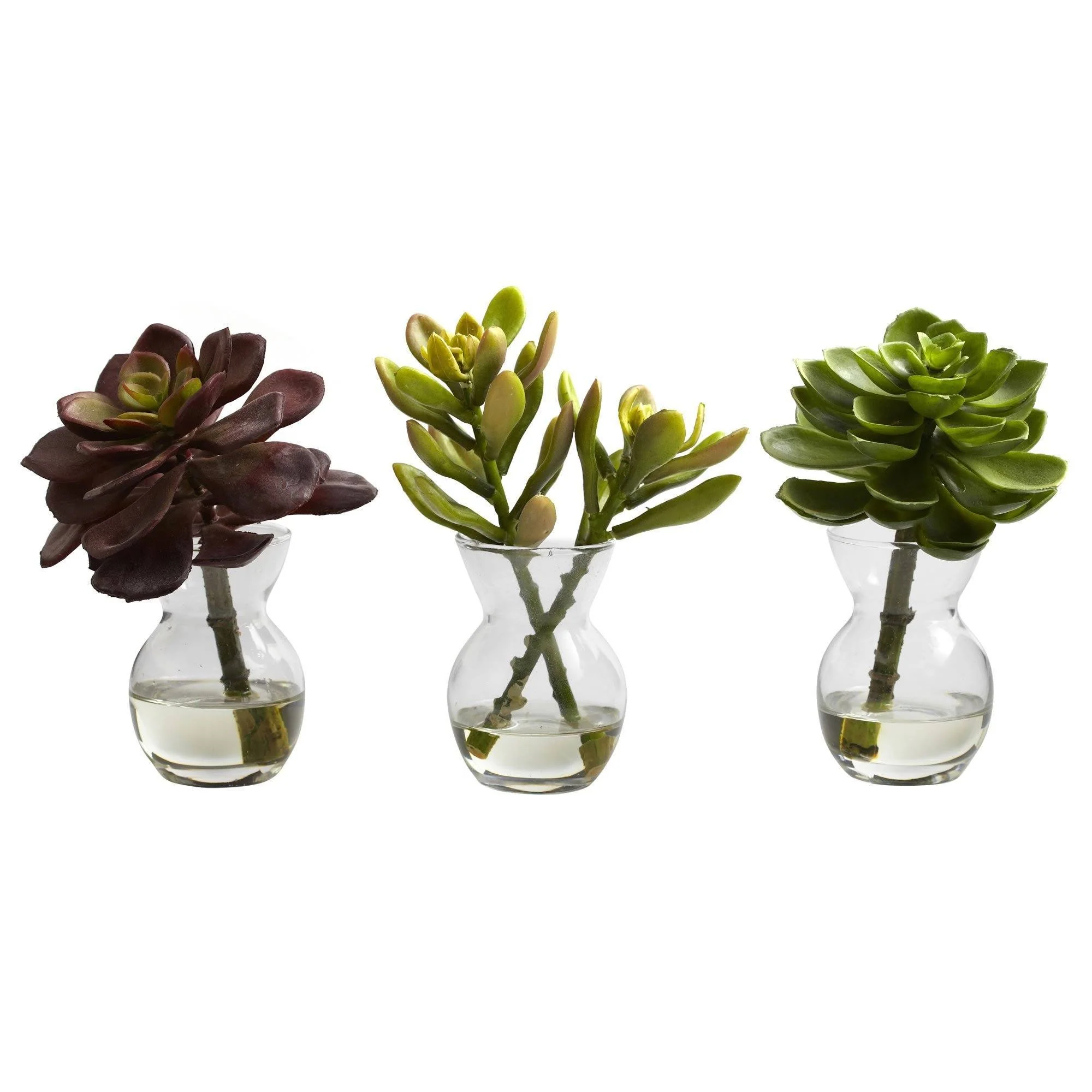 Succulent Arrangements (Set of 3) - Image 2