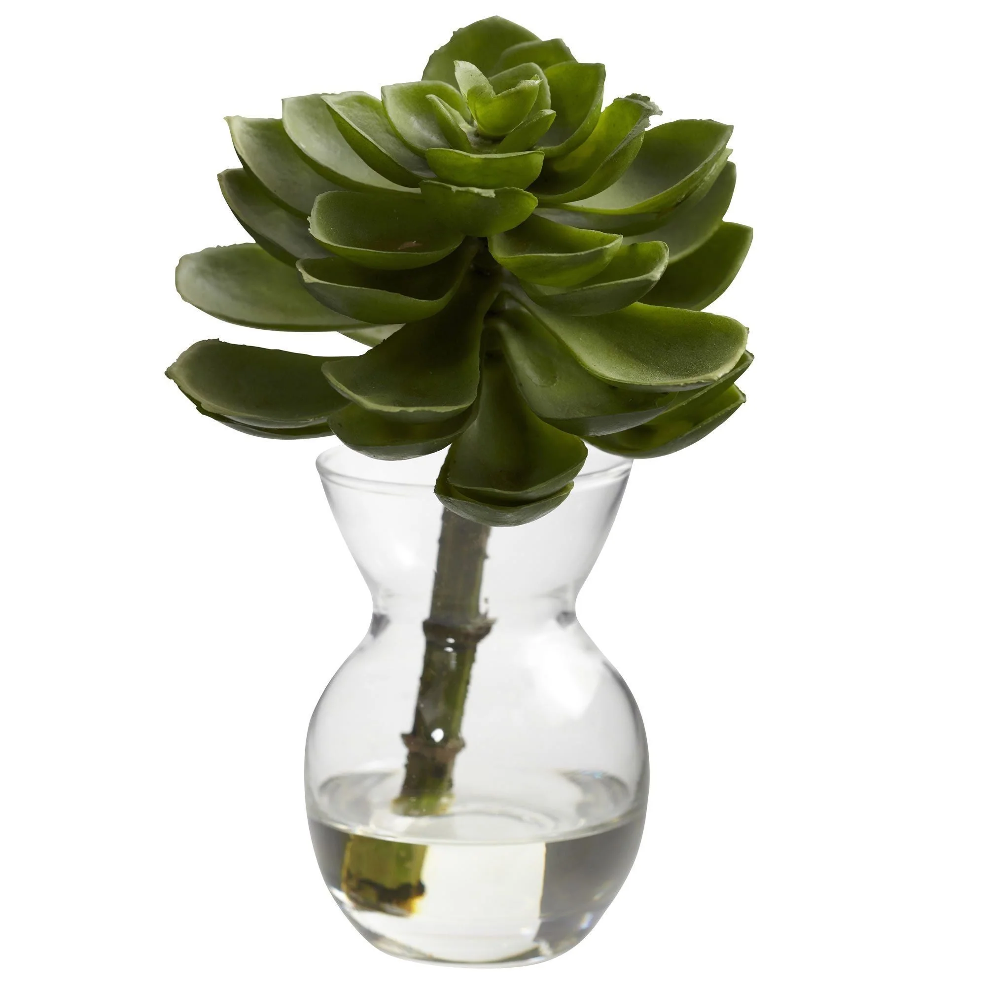 Succulent Arrangements (Set of 3) - Image 3
