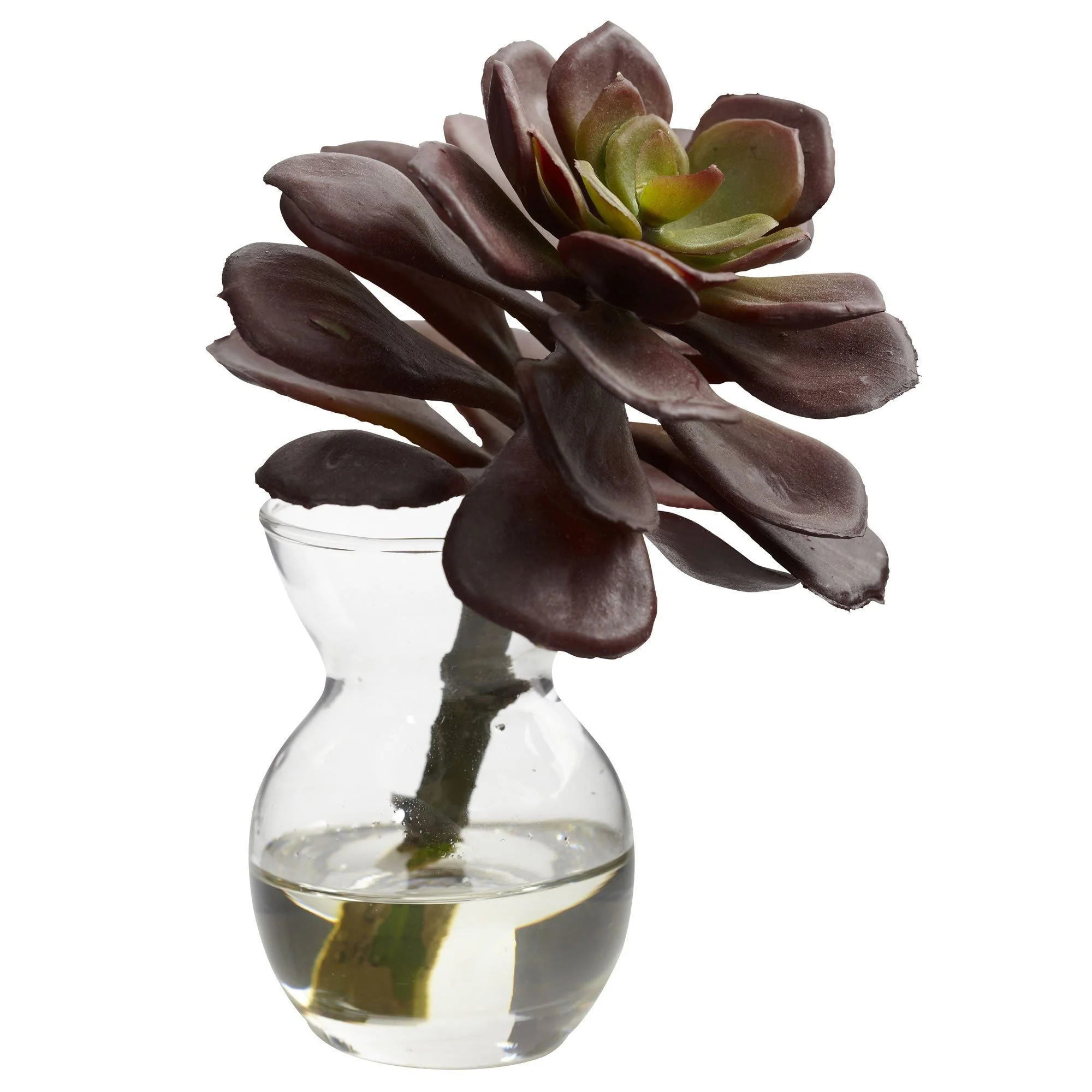 Succulent Arrangements (Set of 3) - Image 4