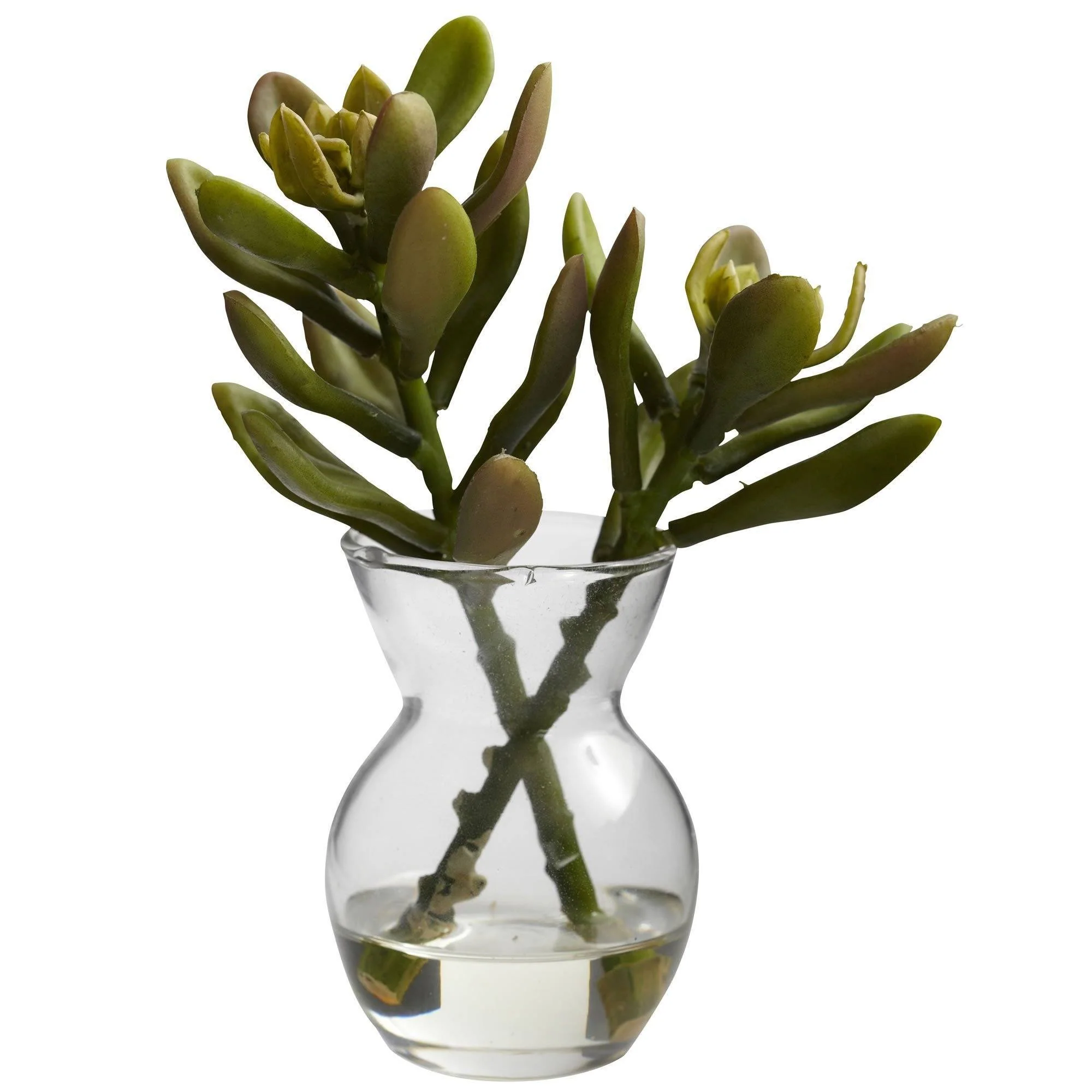 Succulent Arrangements (Set of 3) - Image 5