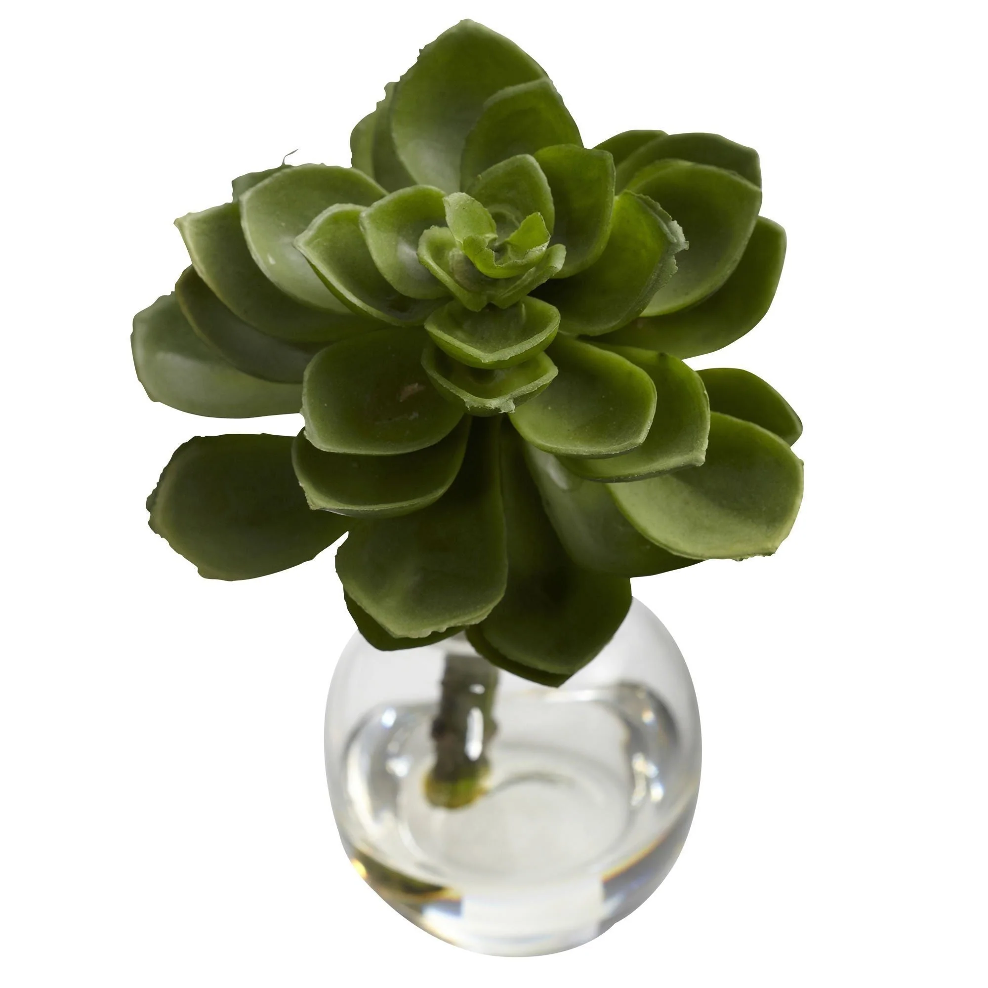 Succulent Arrangements (Set of 3) - Image 6