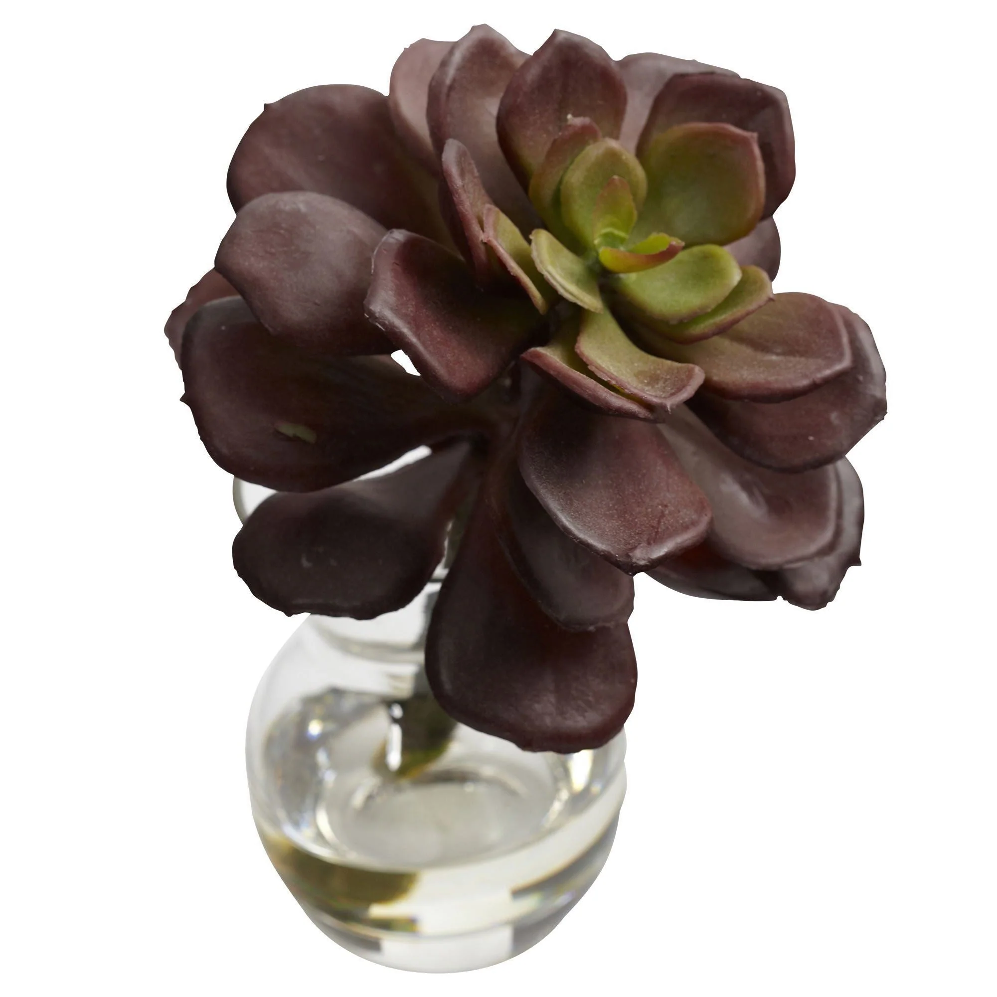 Succulent Arrangements (Set of 3) - Image 7
