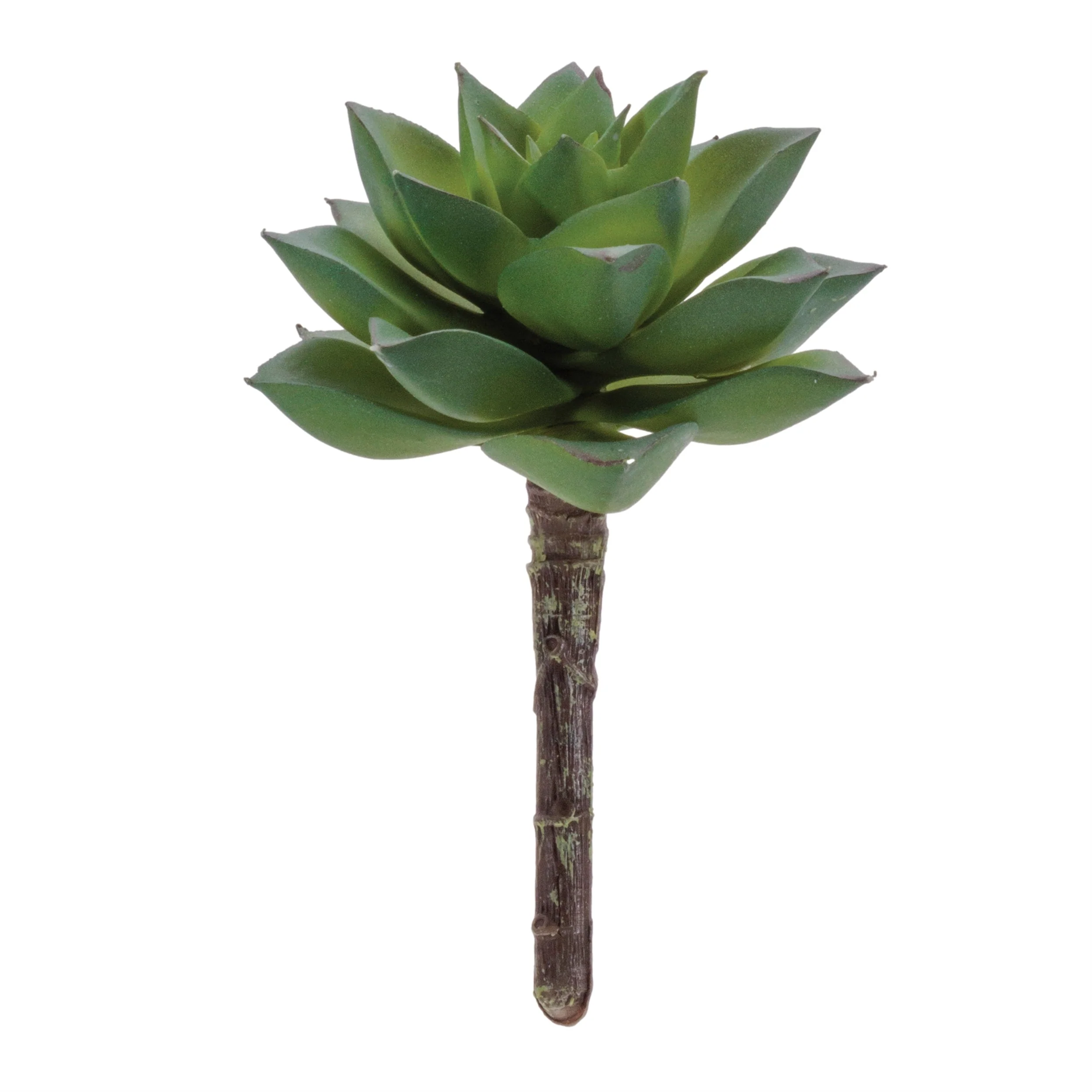 Succulent Plant Pick (Set of 12) - Image 2