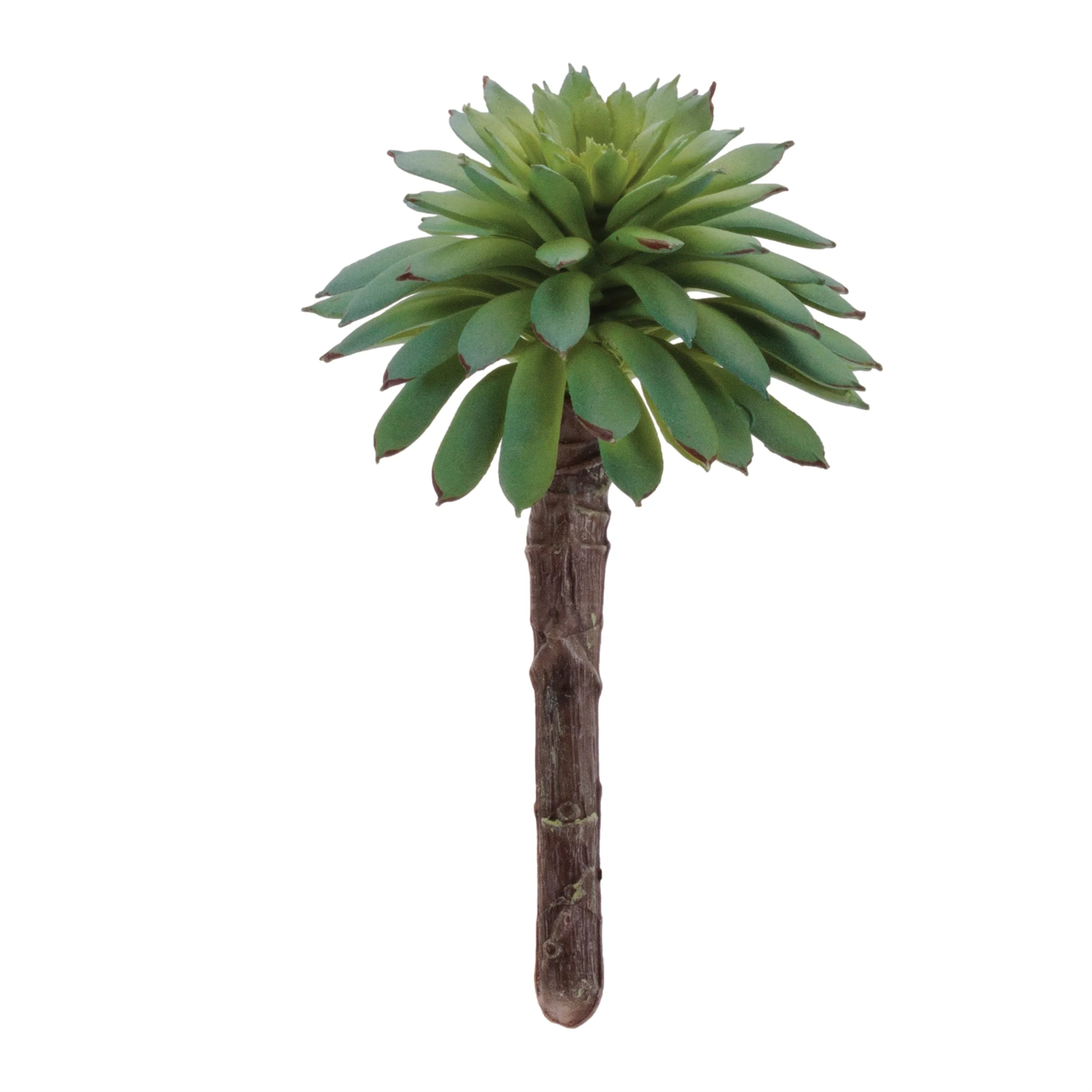 Succulent Plant Pick (Set of 12) - Image 3