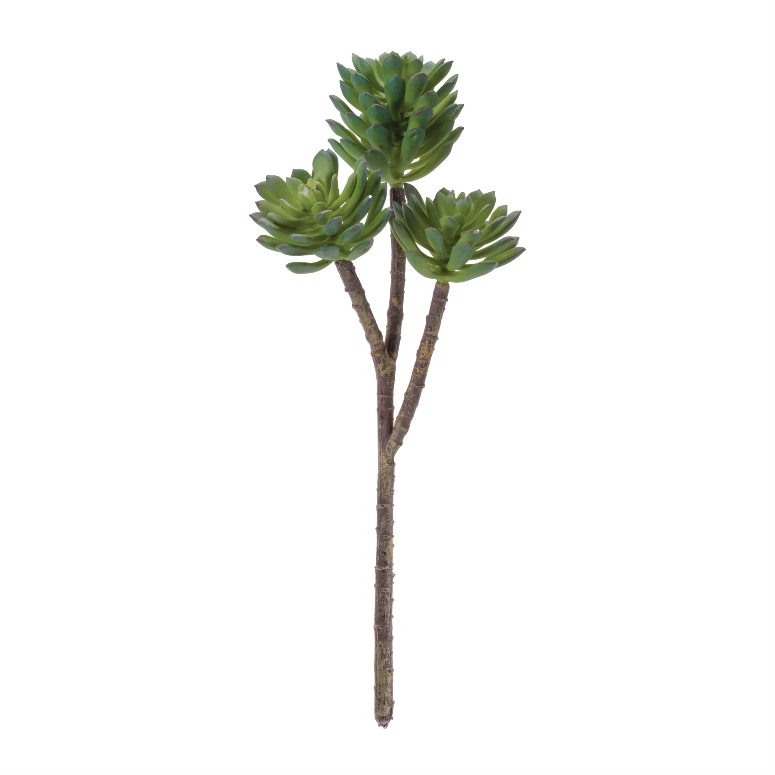 Succulent Plant Pick (Set of 6) - Image 2