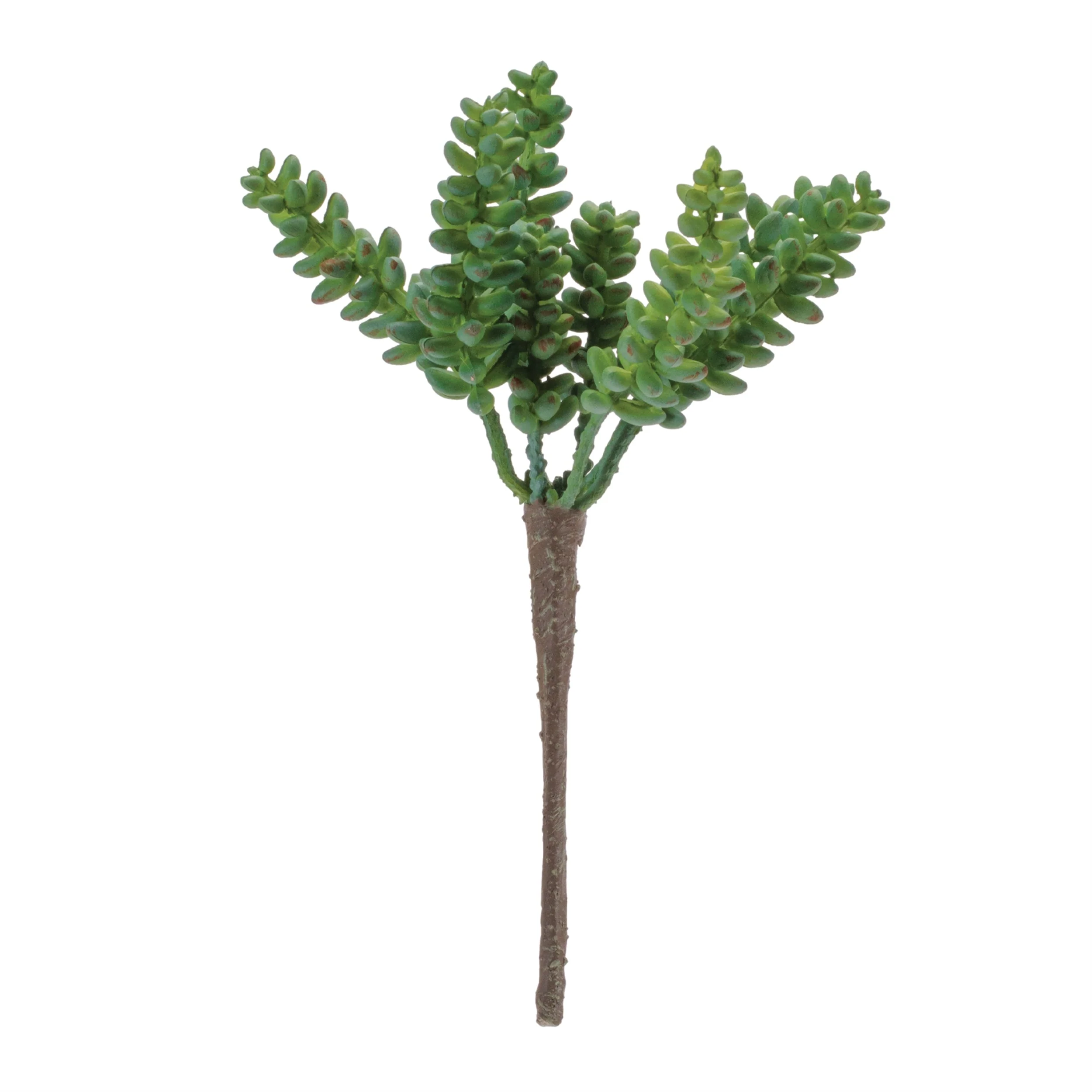Succulent Plant Pick (Set of 6) - Image 3