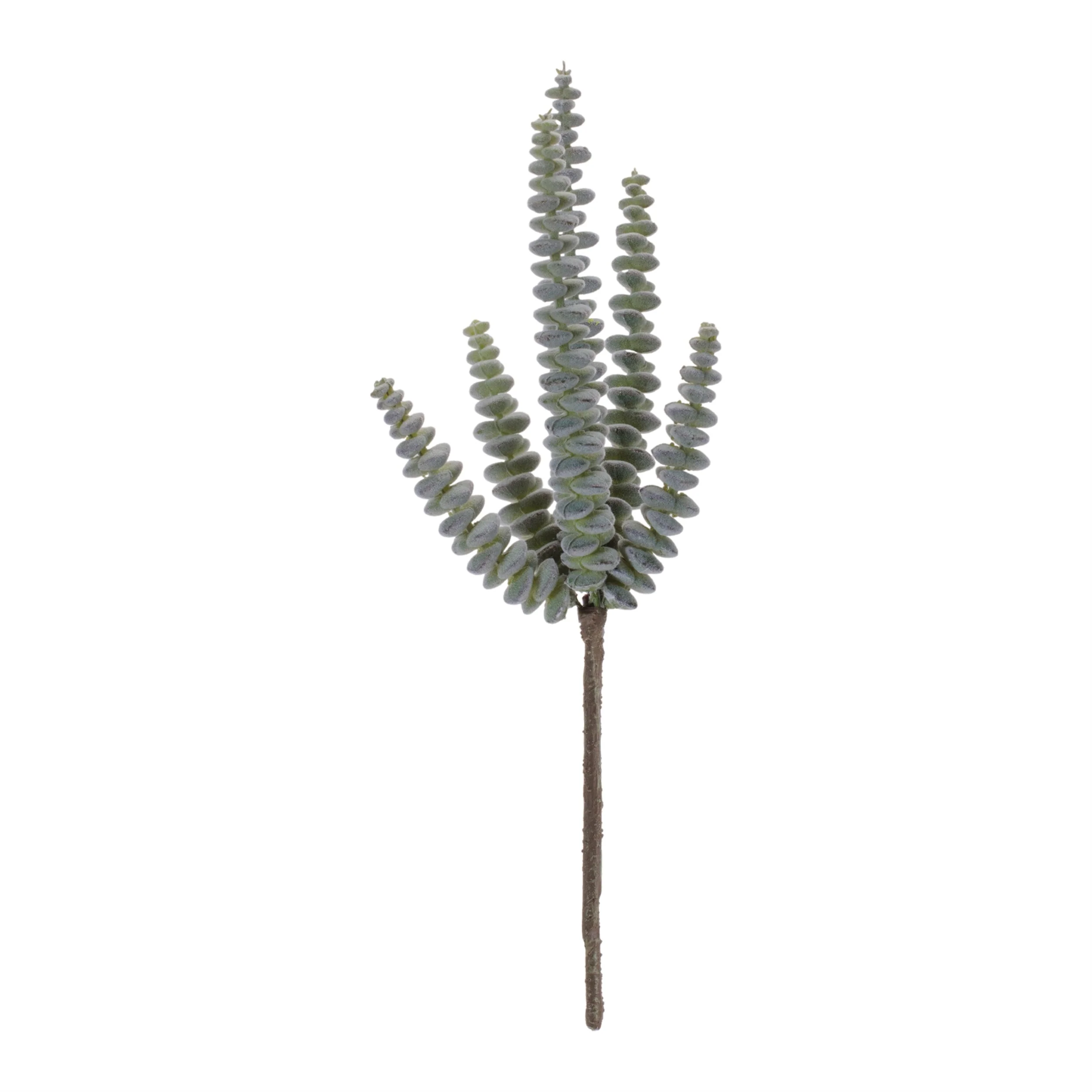 Succulent Plant Pick (Set of 6) - Image 4