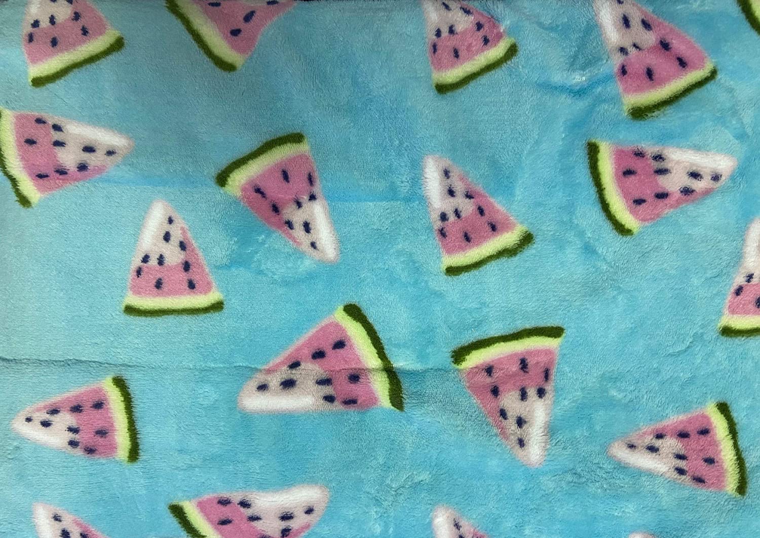 Summertime Whimsy Plush Fleece Throw Blanket (50" x 60") - Watermelon Slices - Image 3