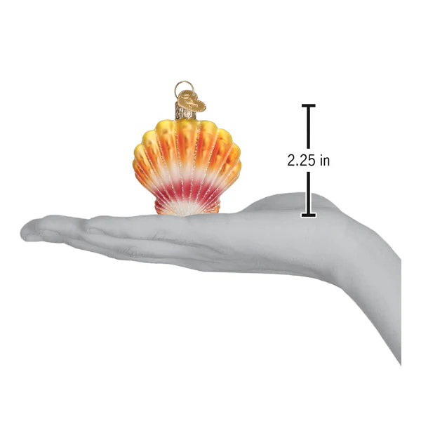 Sunrise Shell Ornament - Image 6