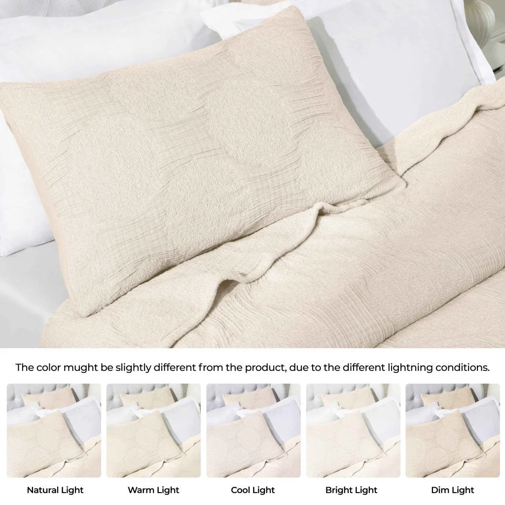 Tanta Cotton Medium Weight Textured Modern Circles Woven Coverlet - Image 10