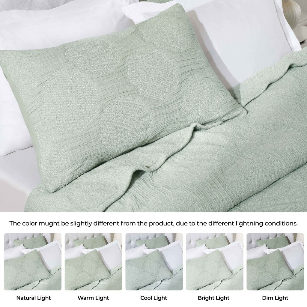 Tanta Cotton Medium Weight Textured Modern Circles Woven Coverlet - Image 58