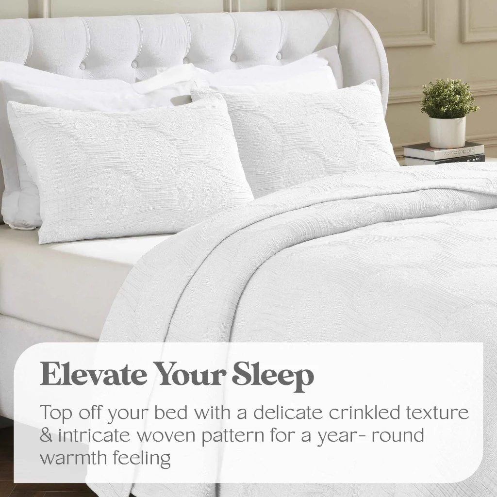 Tanta Cotton Medium Weight Textured Modern Circles Woven Coverlet - Image 68