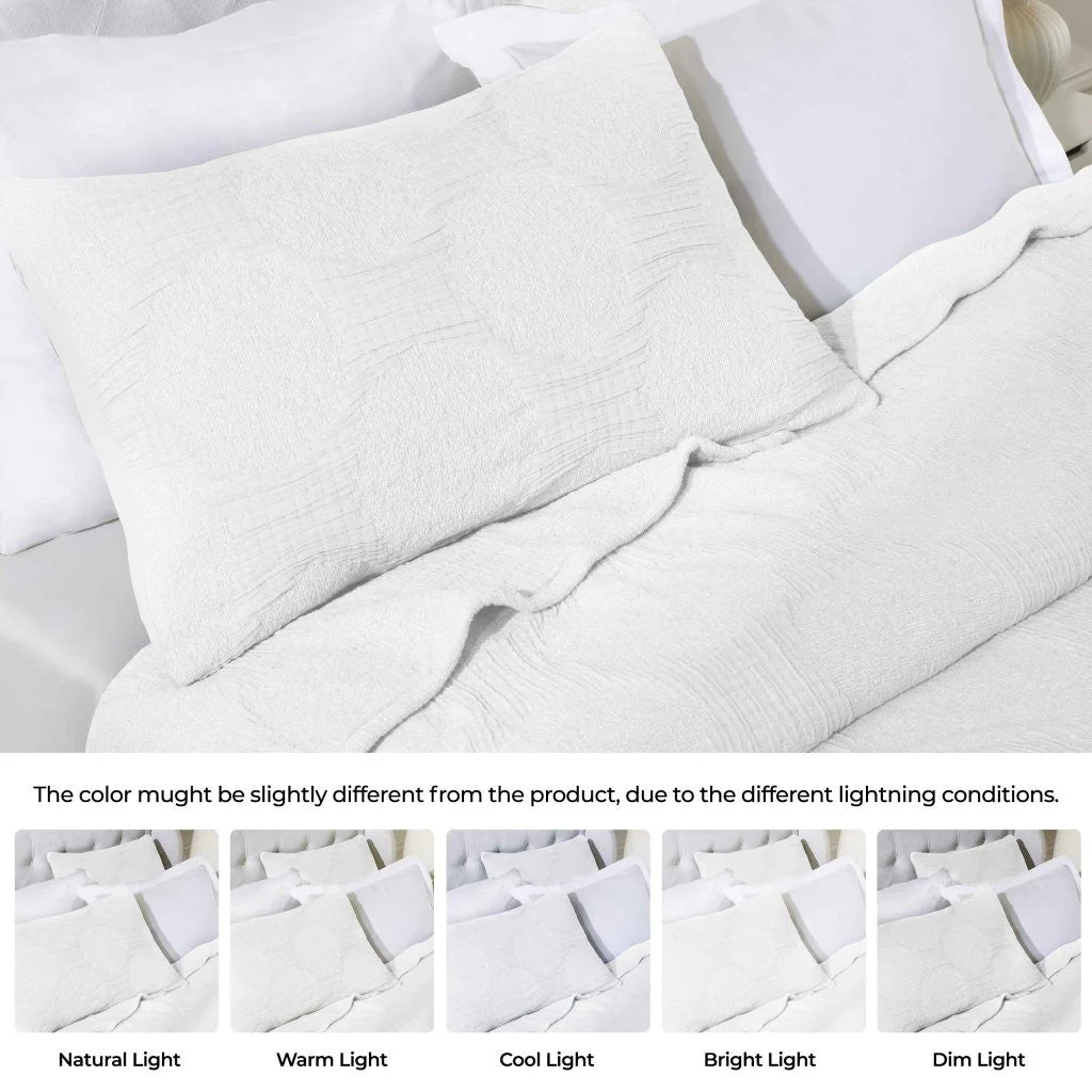 Tanta Cotton Medium Weight Textured Modern Circles Woven Coverlet - Image 69