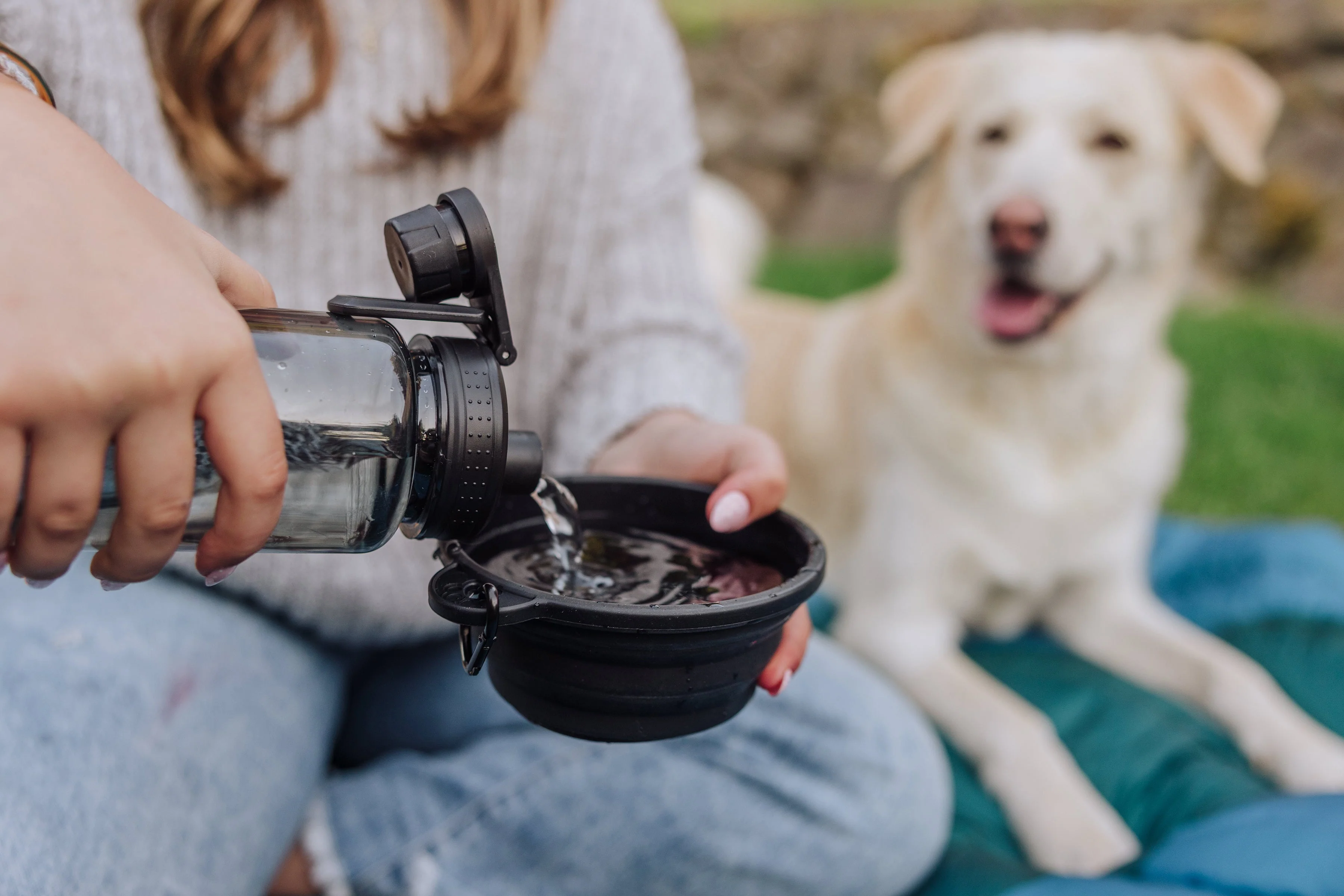 Tarana Dog Travel Kit - Image 15