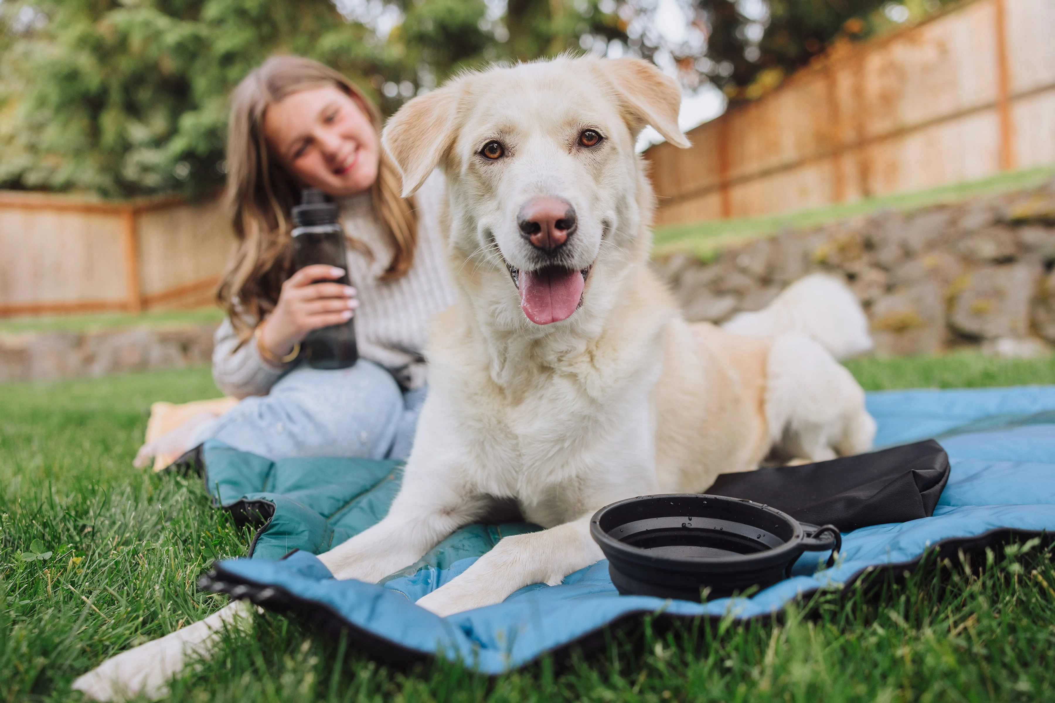 Tarana Dog Travel Kit - Image 21