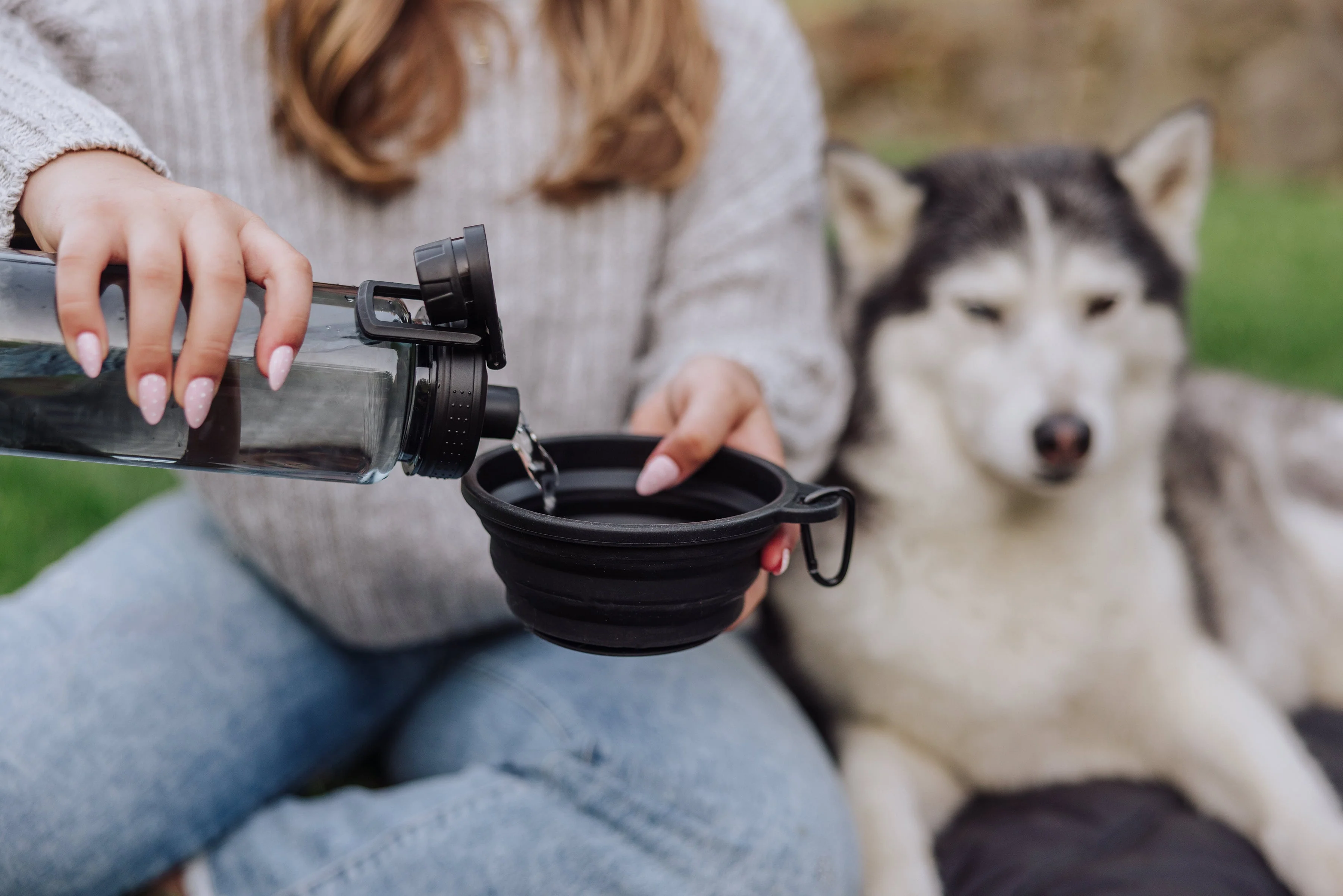 Tarana Dog Travel Kit - Image 5