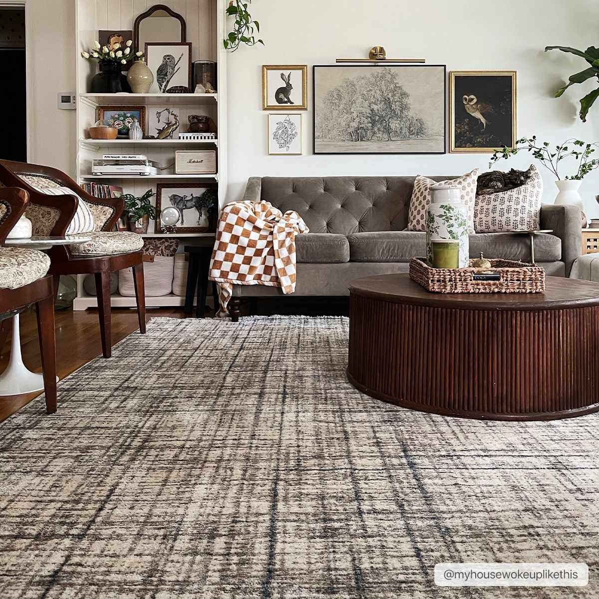 Taysan Area Rug - Clearance - Image 2