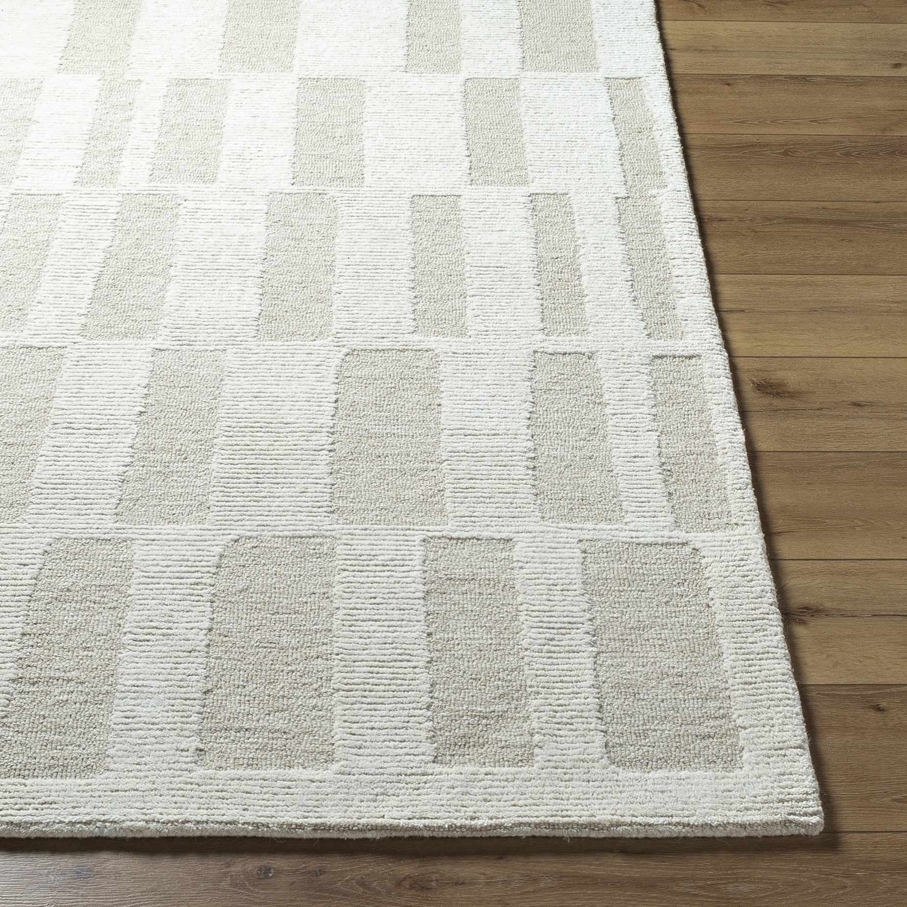 Teige Light Silver Area Rug - Image 5