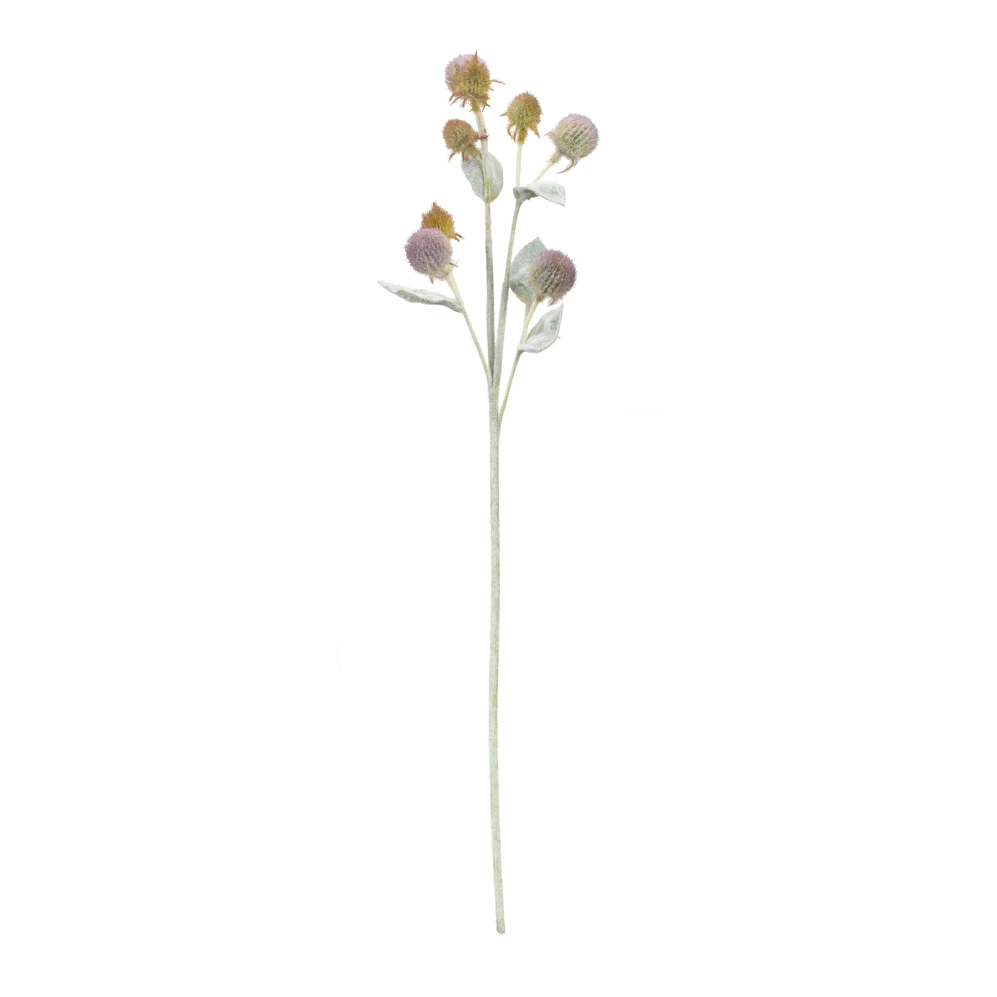 Thistle Foliage Spray (Set of 6) - Image 2