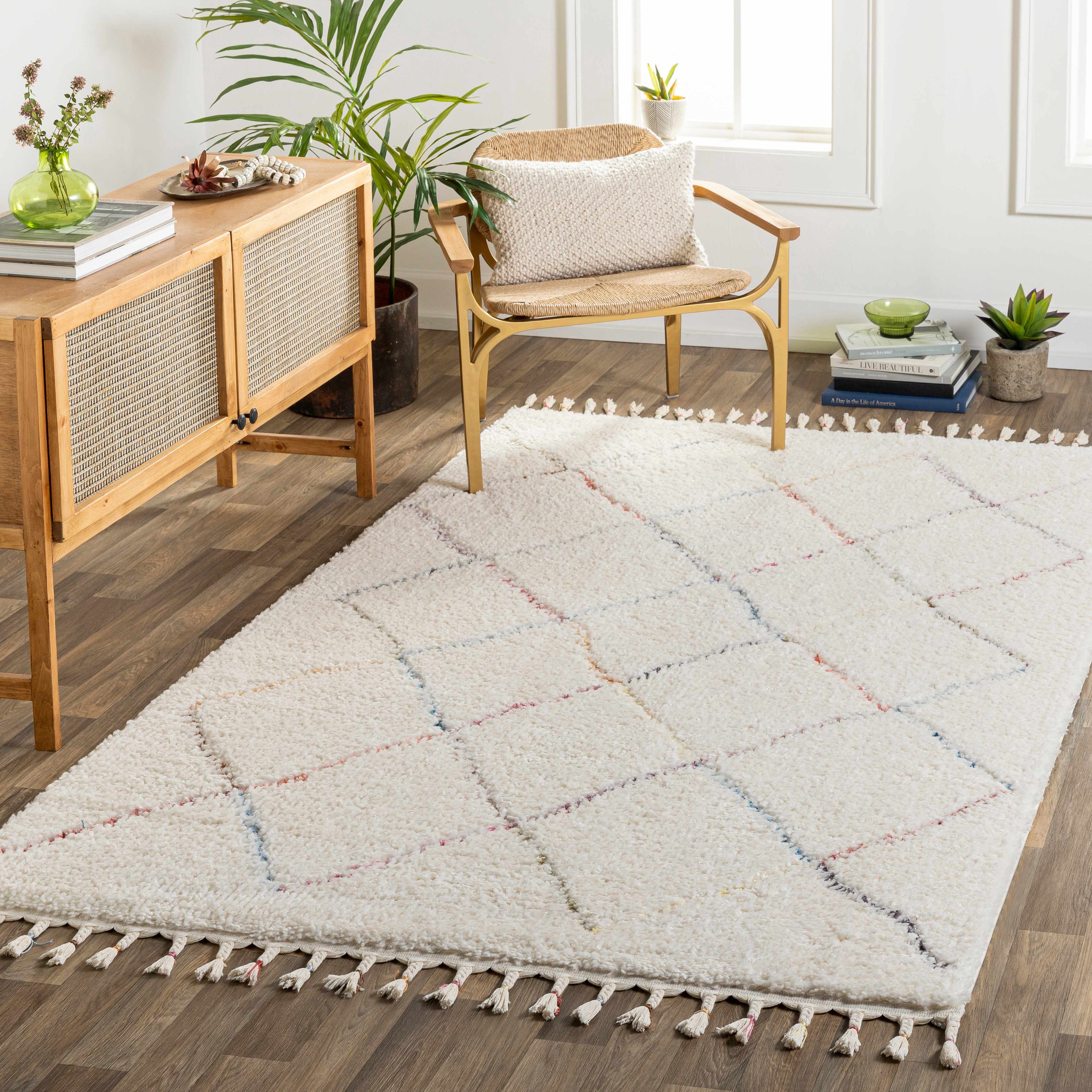 Tigao Area Rug - Clearance - Image 4