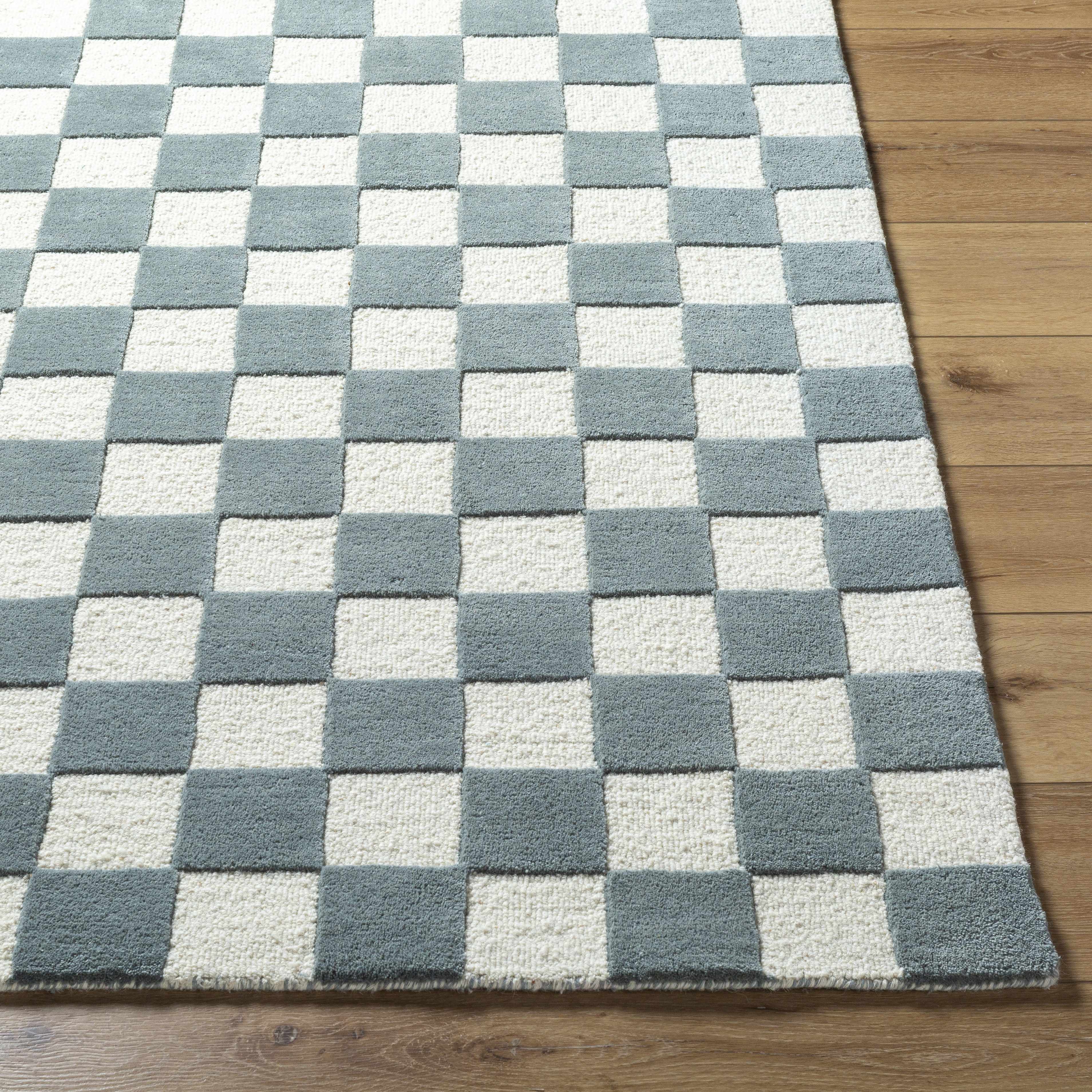 Timin Blue Gray Checkered Area Rug - Image 2