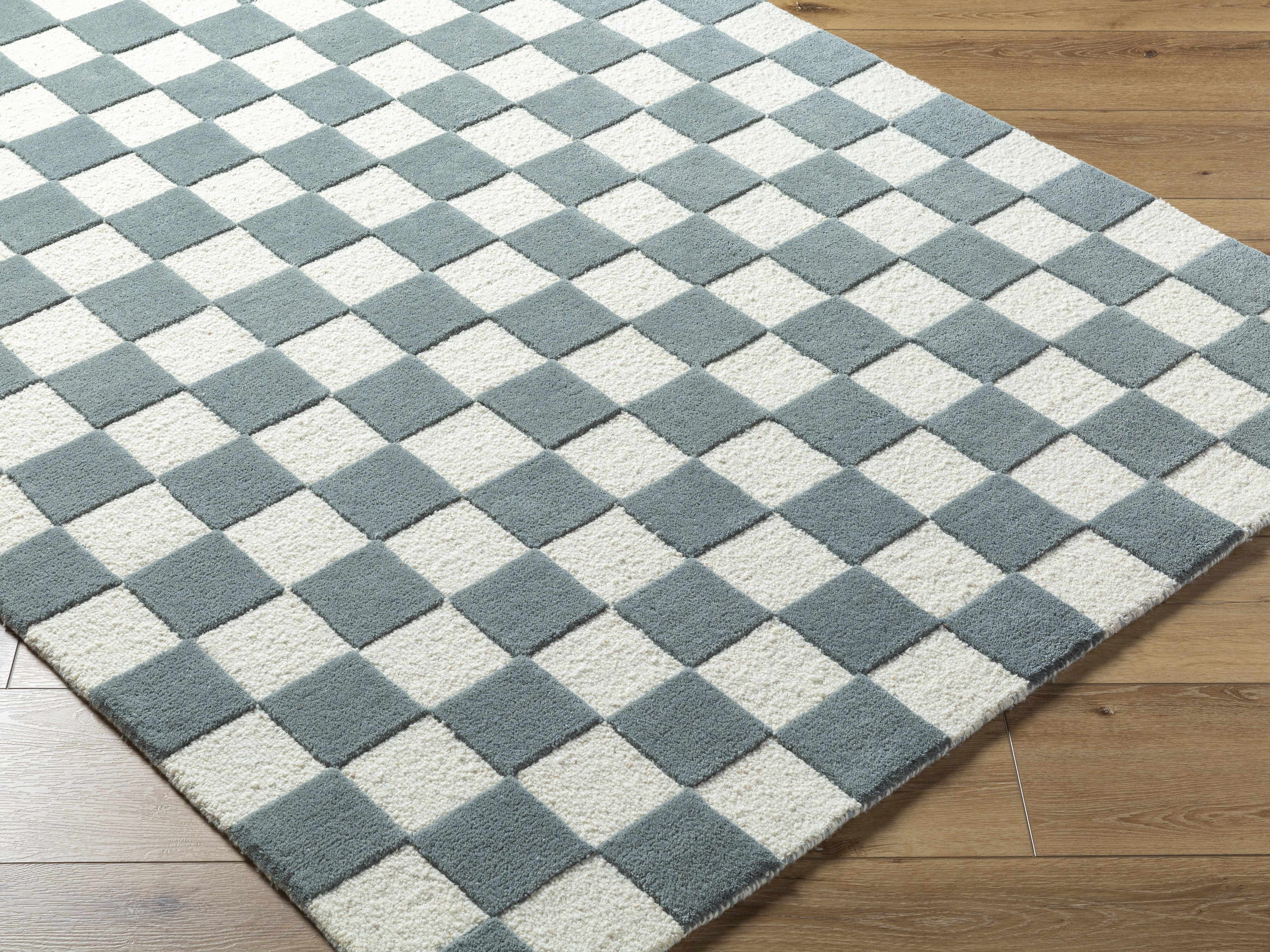 Timin Blue Gray Checkered Area Rug - Image 3