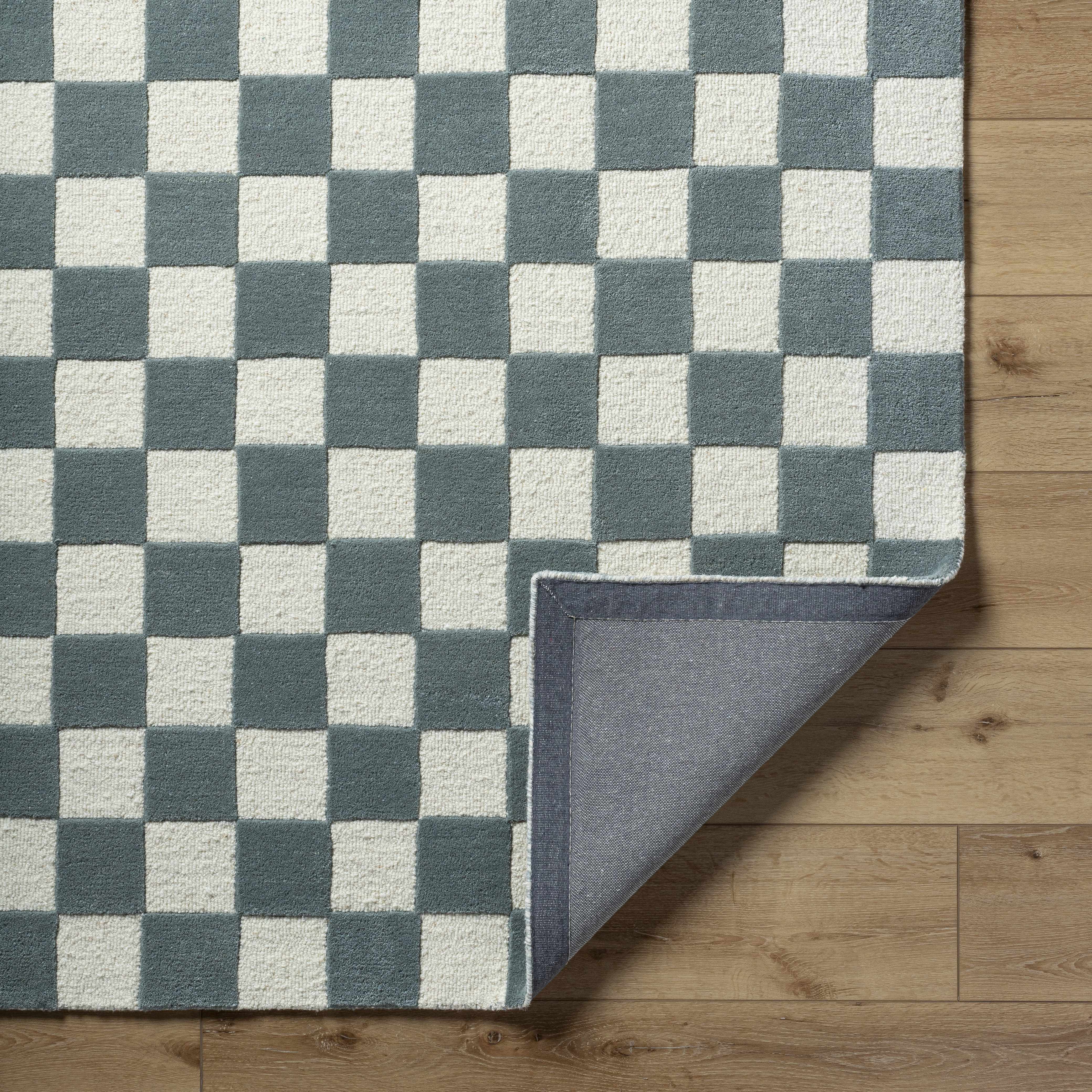 Timin Blue Gray Checkered Area Rug - Image 4