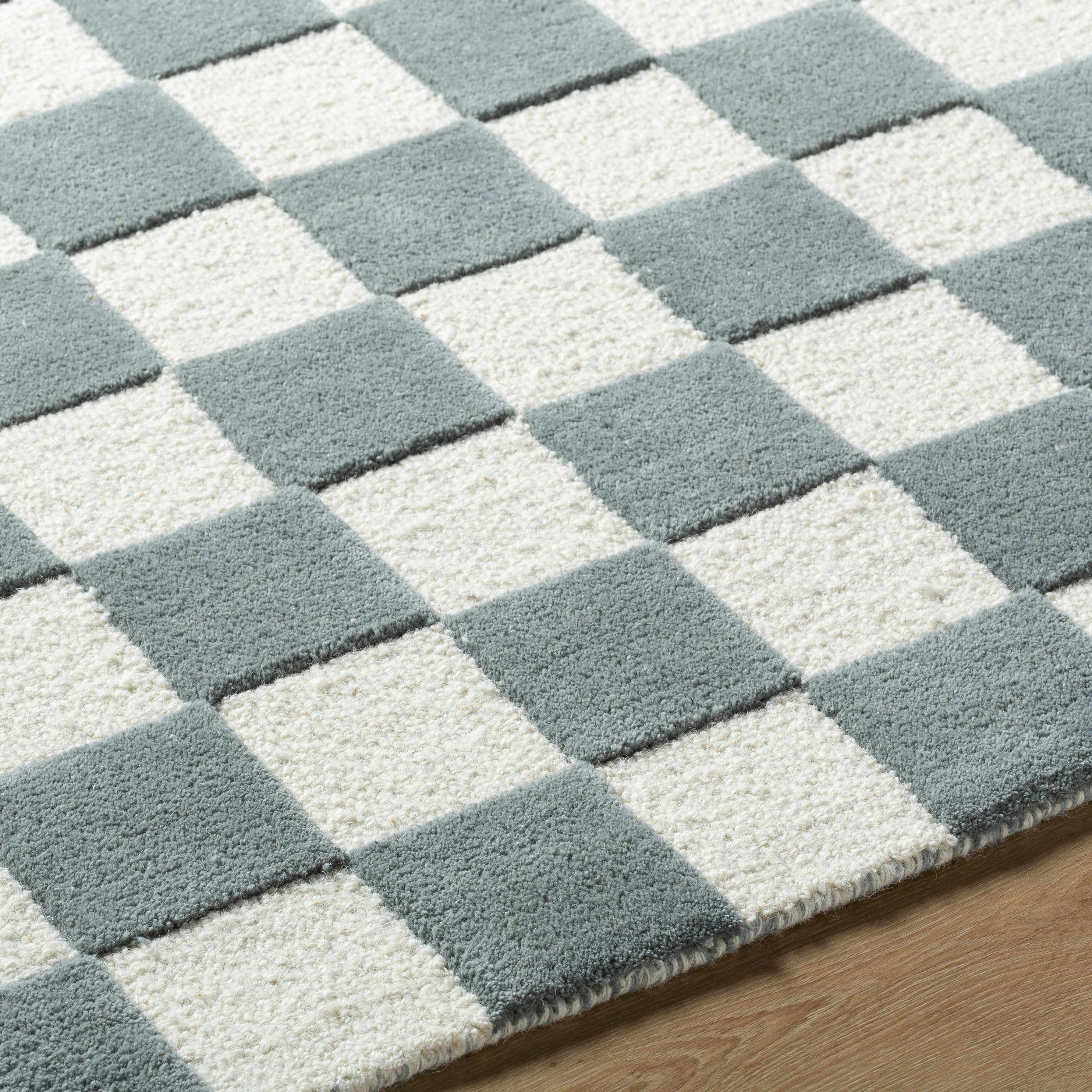 Timin Blue Gray Checkered Area Rug - Image 5