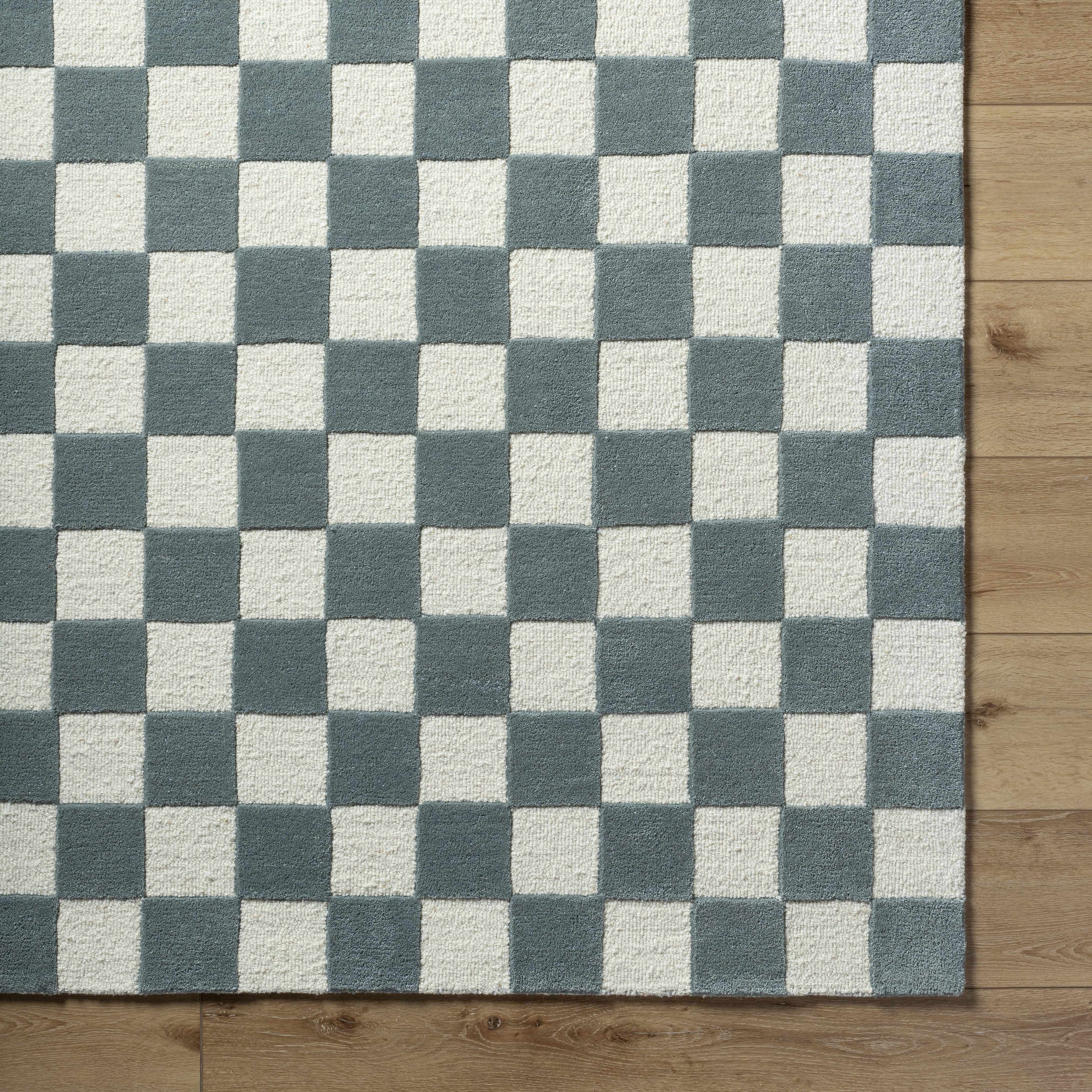 Timin Blue Gray Checkered Area Rug - Image 6