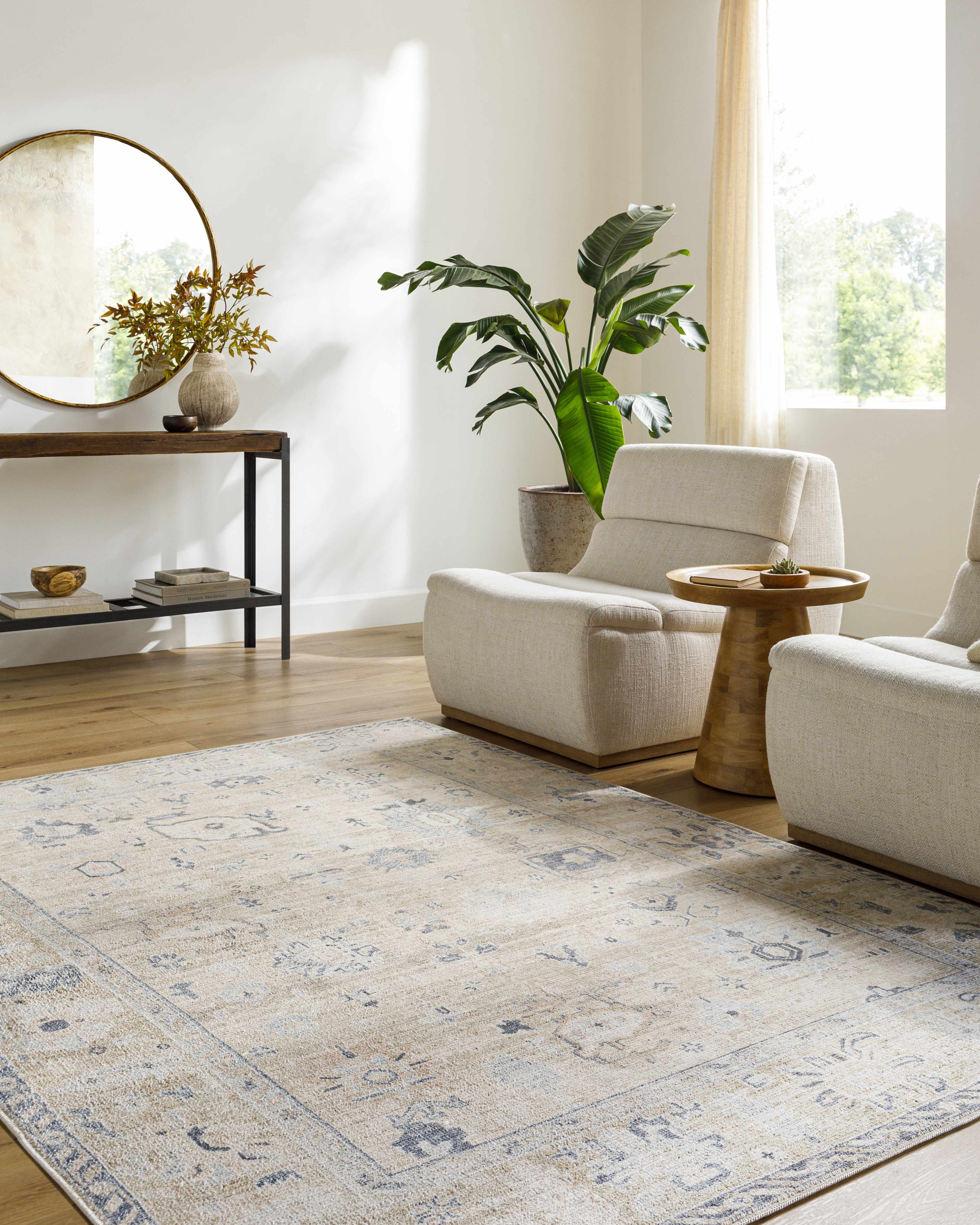 Toddy Area Rug - Image 2