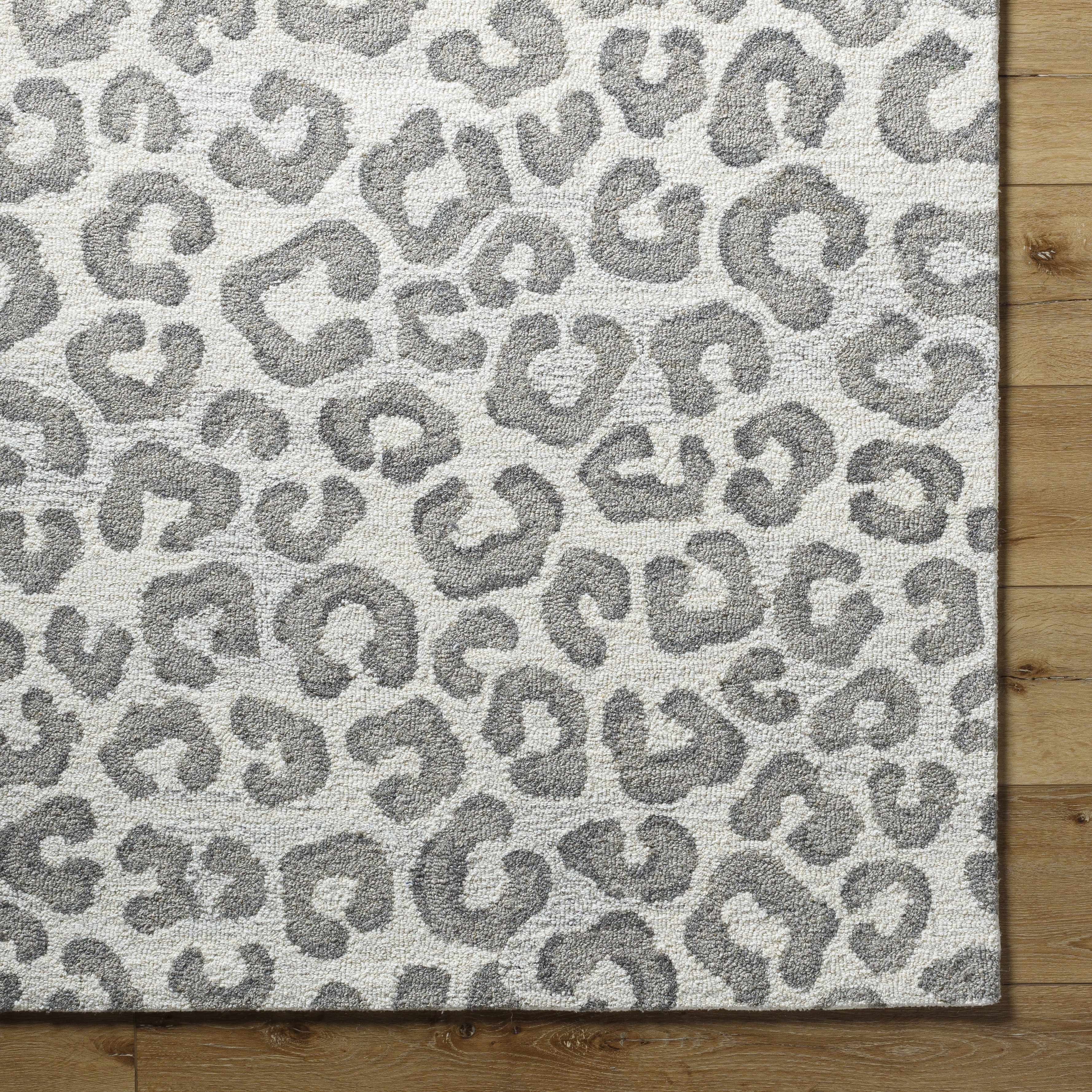 Tomas Area Rug - Image 6