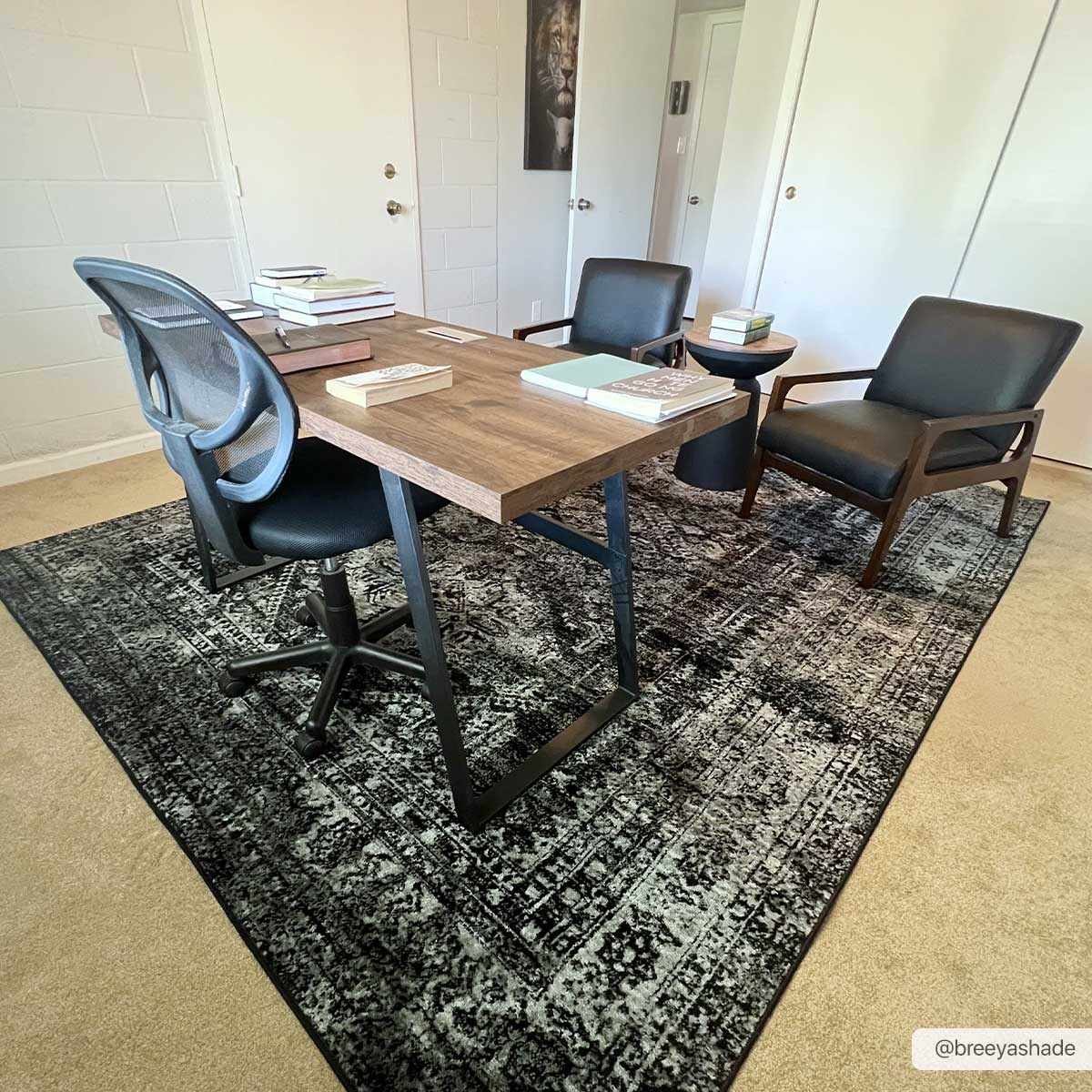 Toni Area Rug - Clearance - Image 2