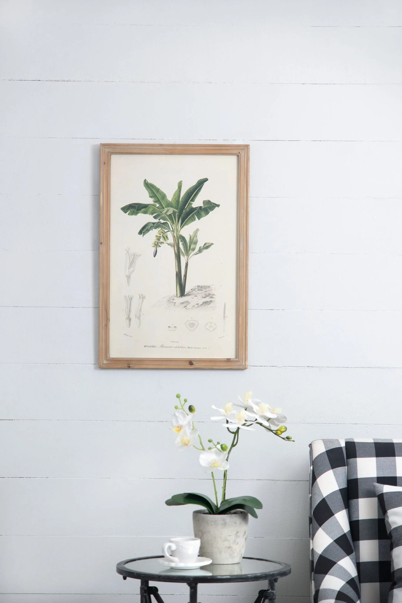 Tree Framed Print Set of 2 - Multicolor Botanical Wall Art - Image 5