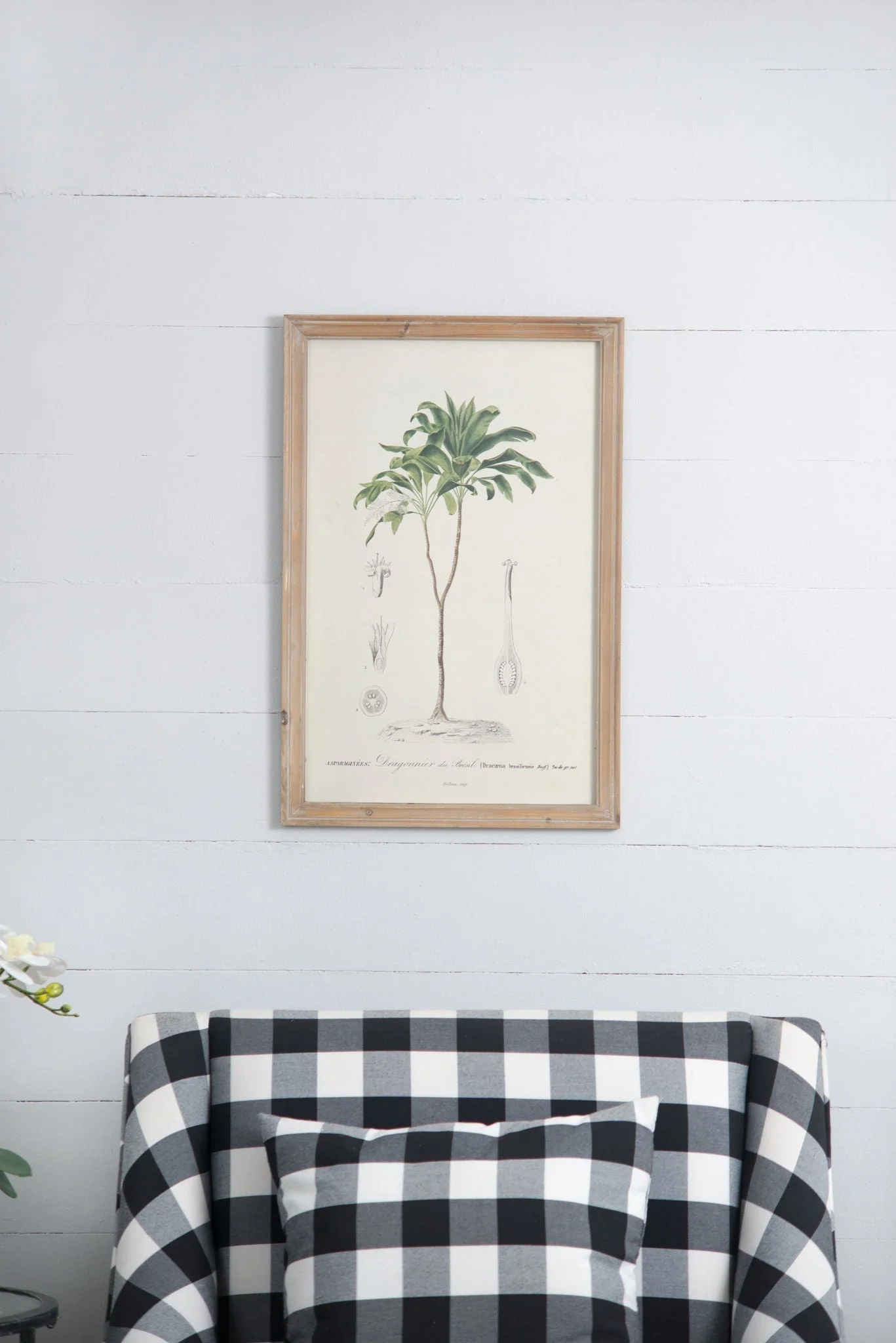 Tree Framed Print Set of 2 - Multicolor Botanical Wall Art - Image 9